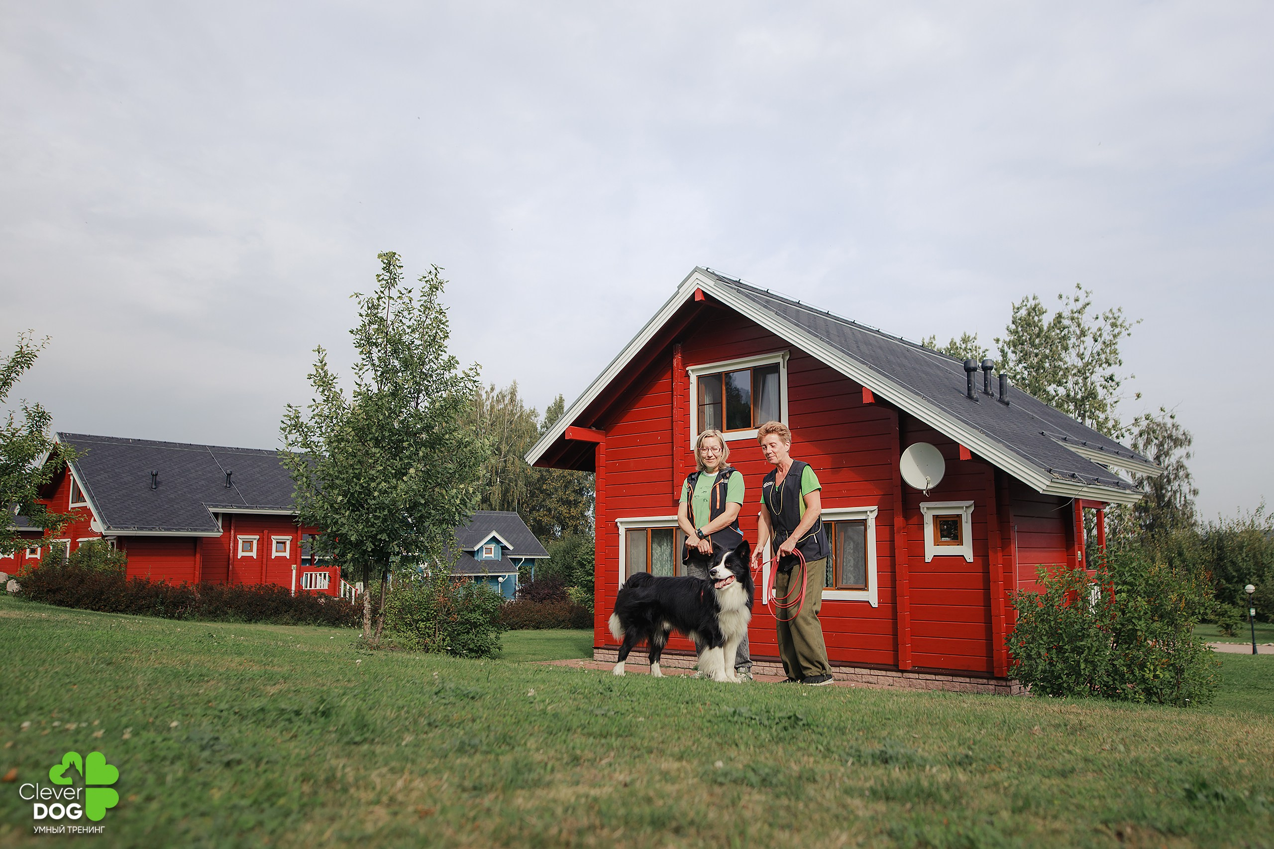 Кинологический лагерь CleverDog, 2024. Фотограф-анималист Mary Mart — Москва, Питер