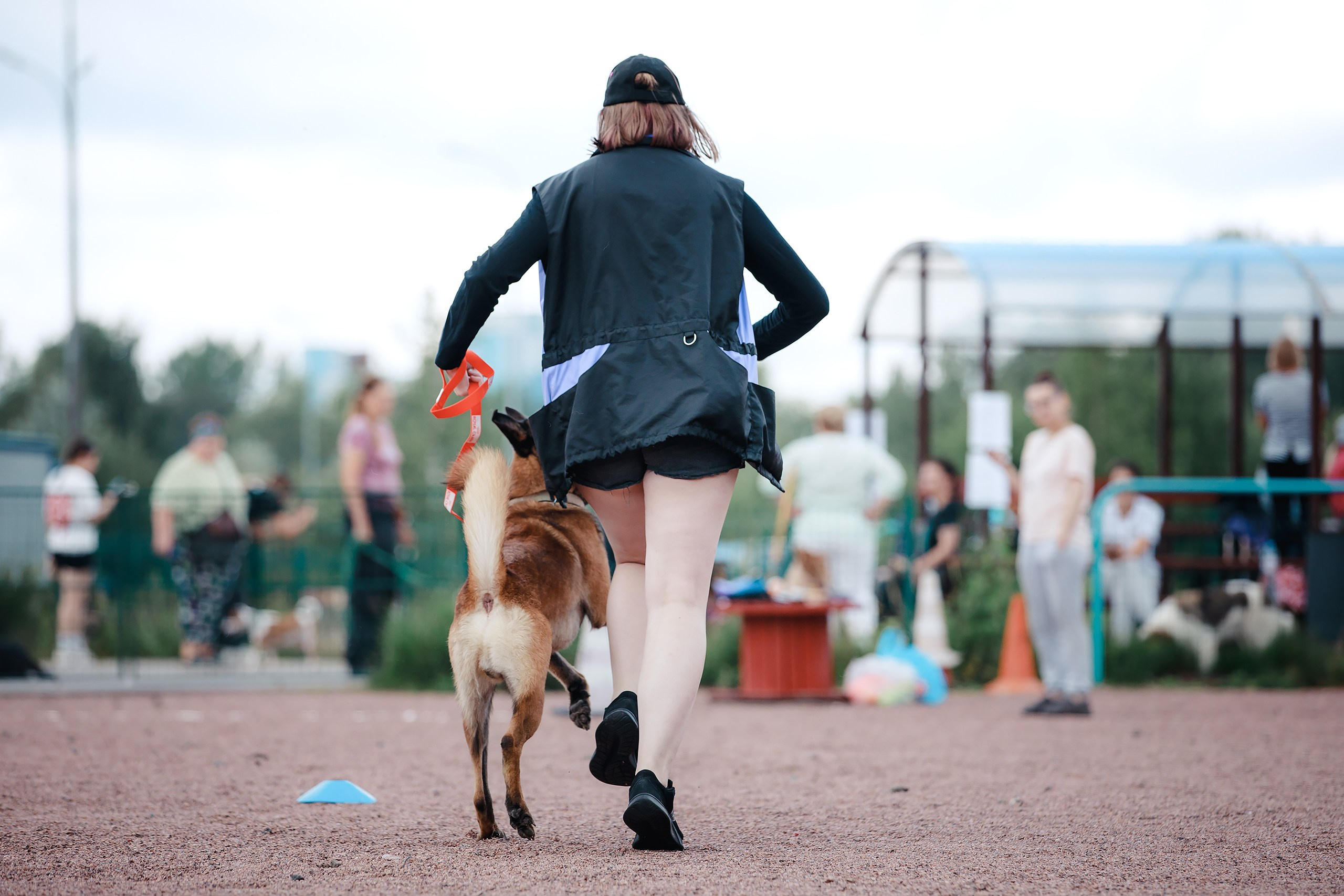 Питч&Гоу + веселые старты. Фотограф-анималист Mary Mart — Москва, Питер