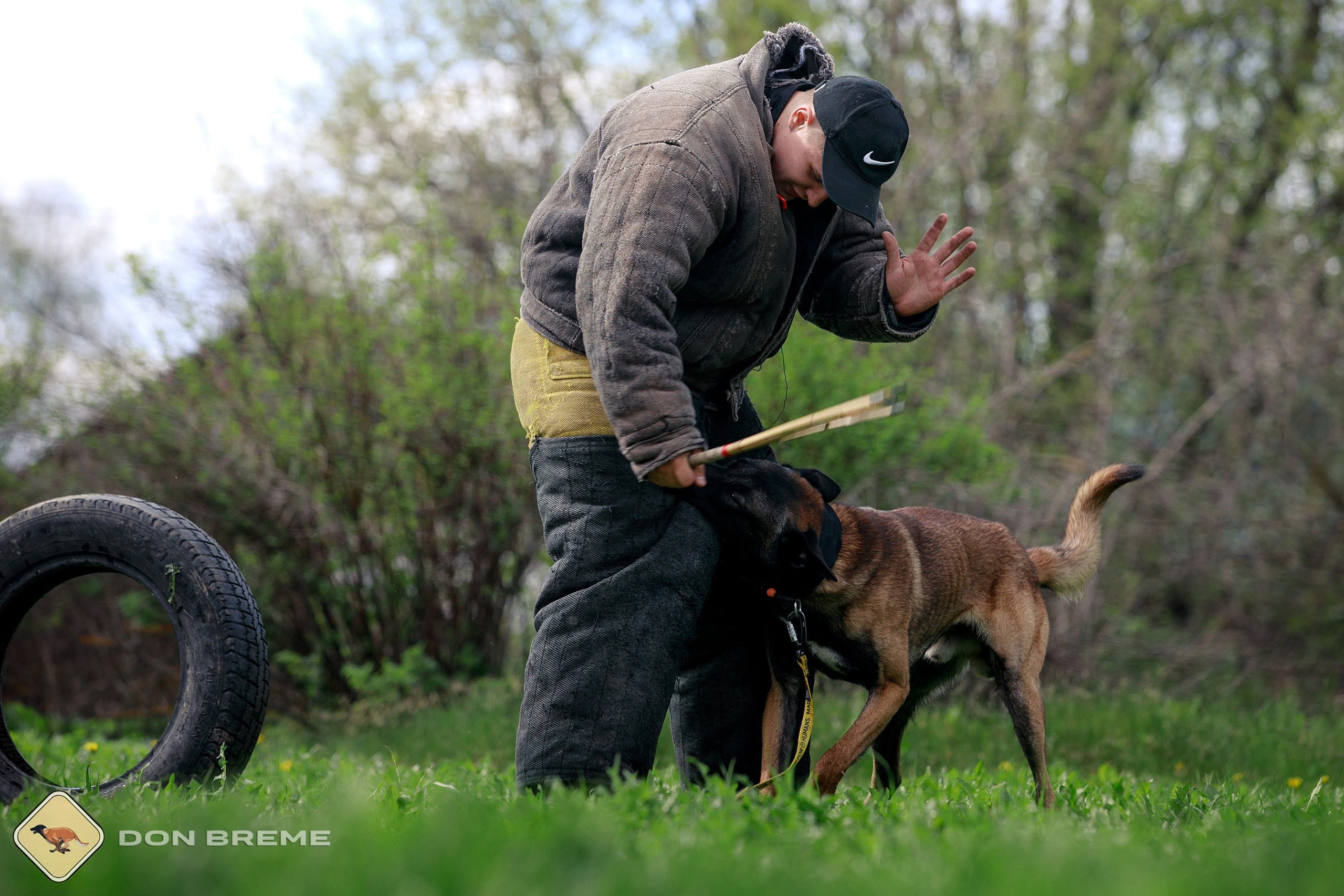 Семинар для фигурантов, день 2. Фотограф-анималист Mary Mart — Москва, Питер