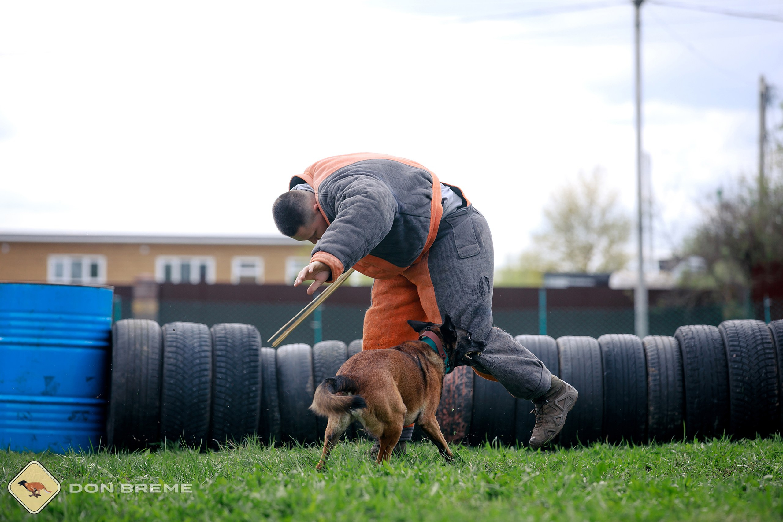 Семинар для фигурантов, день 2. Фотограф-анималист Mary Mart — Москва, Питер