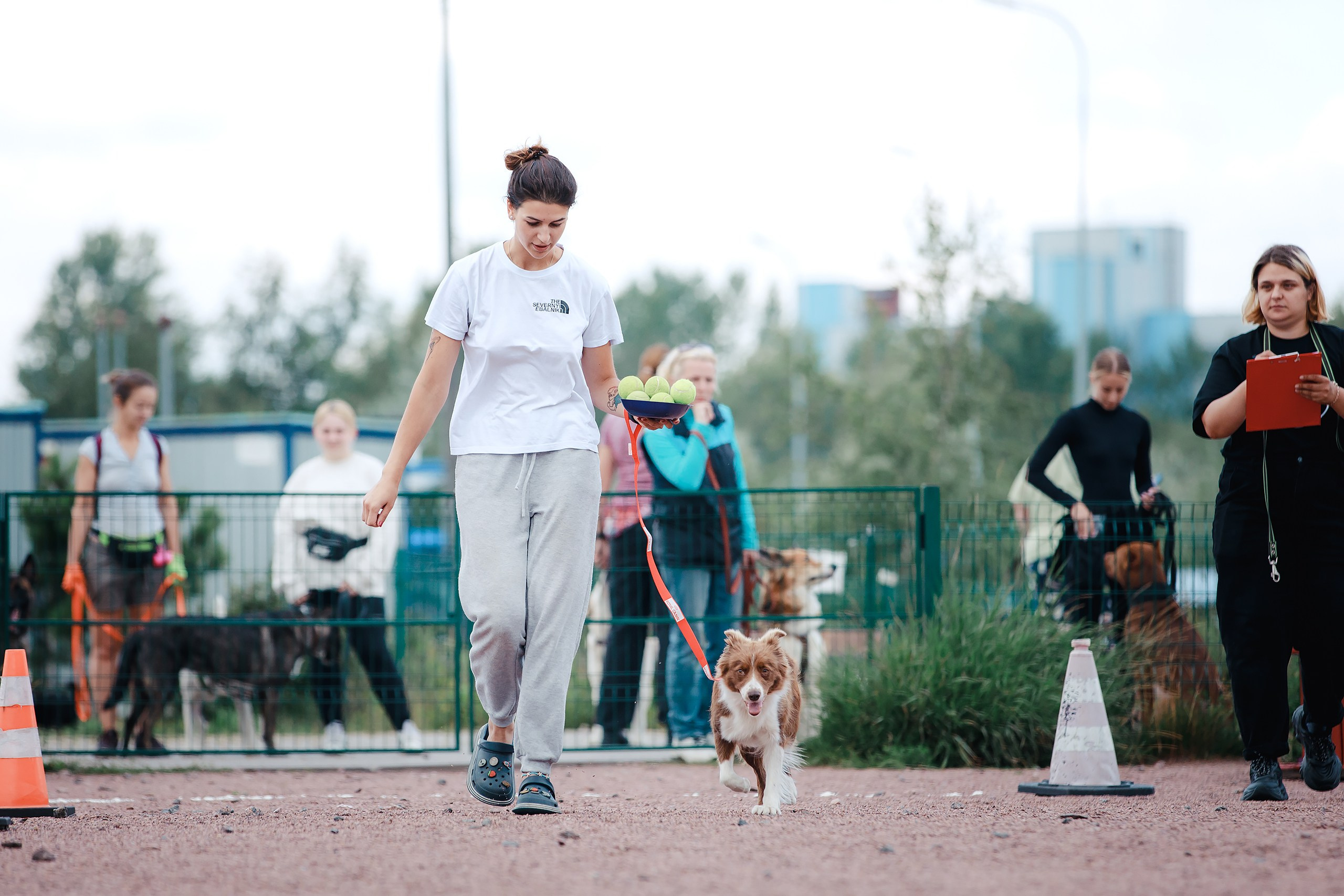 Питч&Гоу + веселые старты. Фотограф-анималист Mary Mart — Москва, Питер