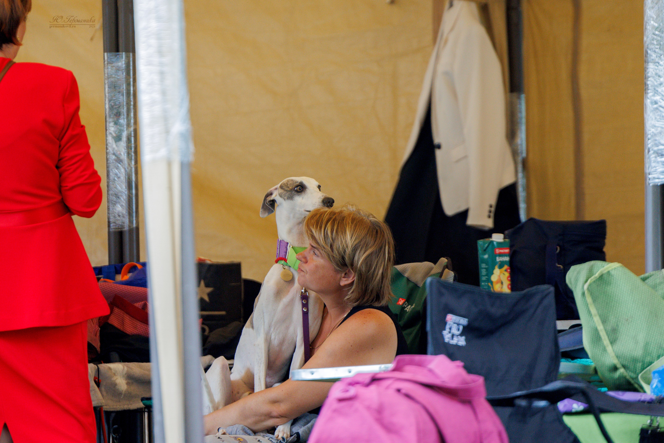 Астана 2хCACIB 17-18.08.2024. Фотограф-анималист Юлия Германика