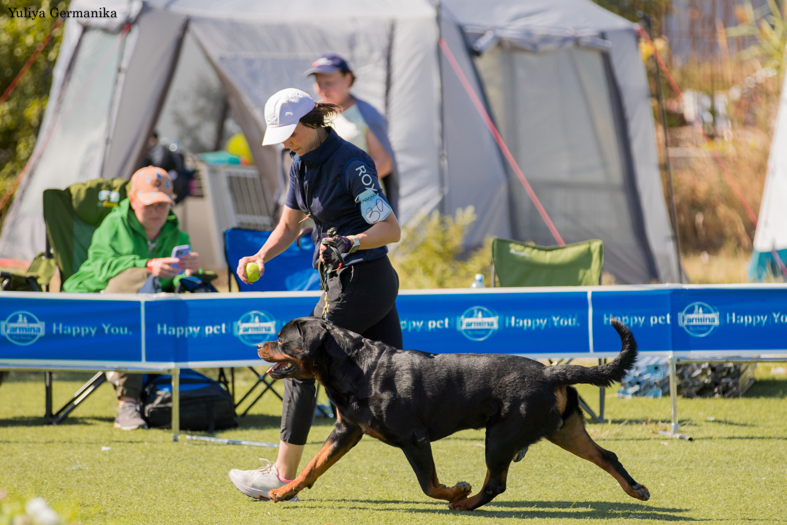 Анапа 16-17.09.2023 моно ротвейлеров. Фотограф-анималист Юлия Германика