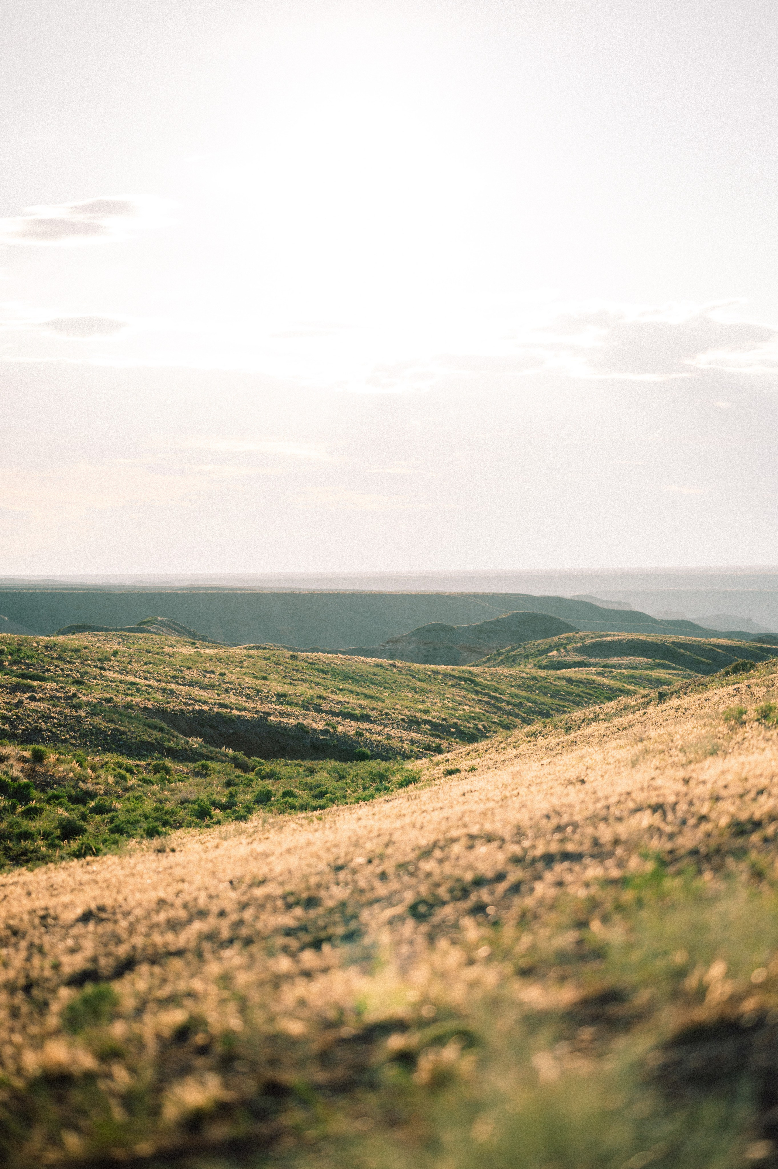 Чарын-Кольсай: лето 2024. Фотограф в Алматы — Дарья Фёдорова