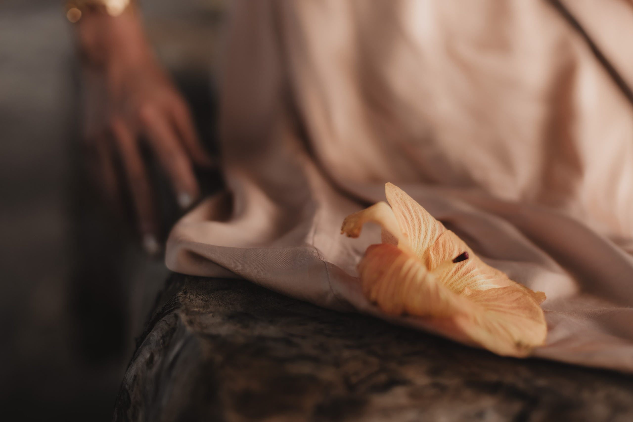 New chapter. Мариам Багдасарян