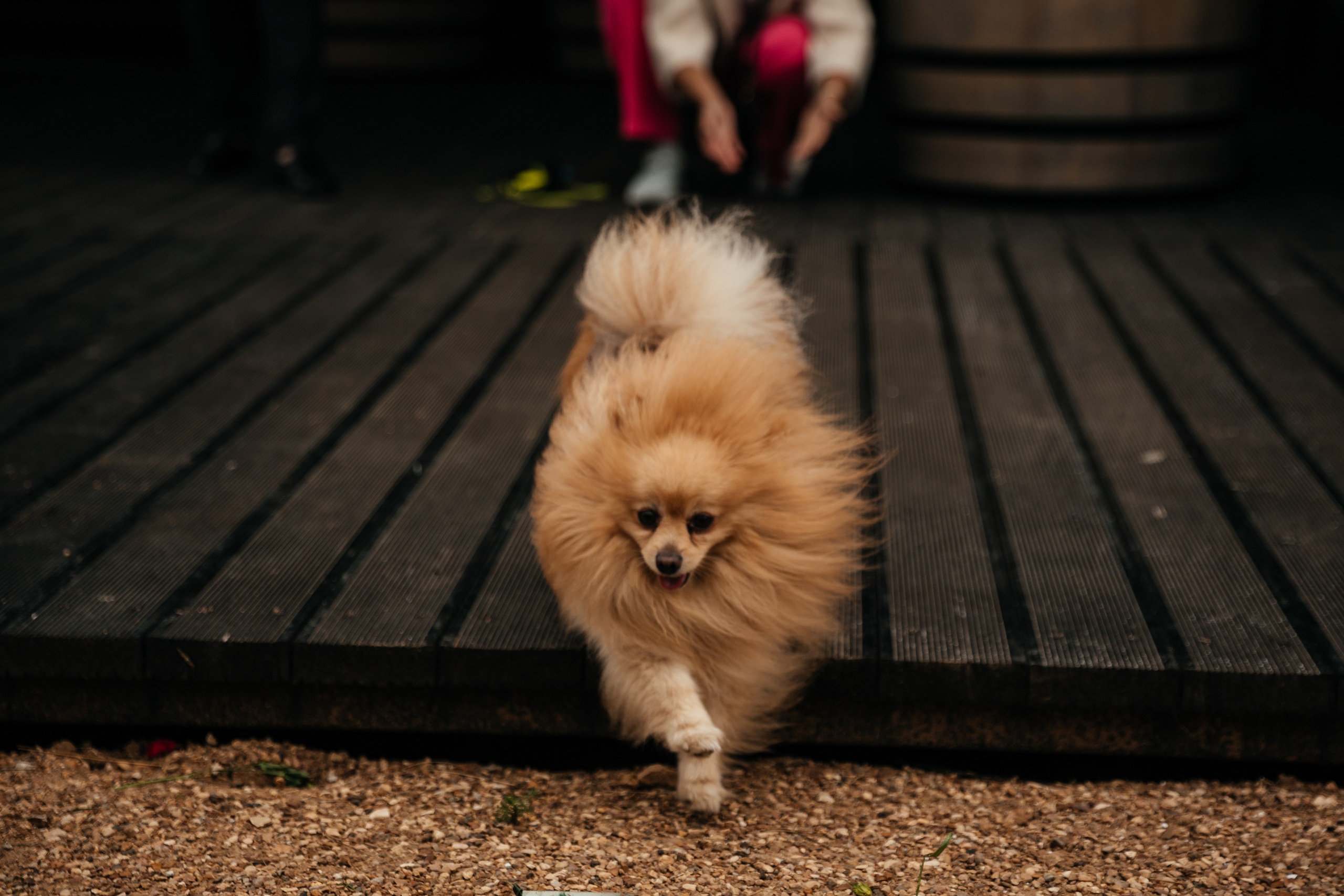 Екатерина и Владислав | Pine River. Свадебный фотограф Ангелина Зотова | Обнинск, Москва, Калуга