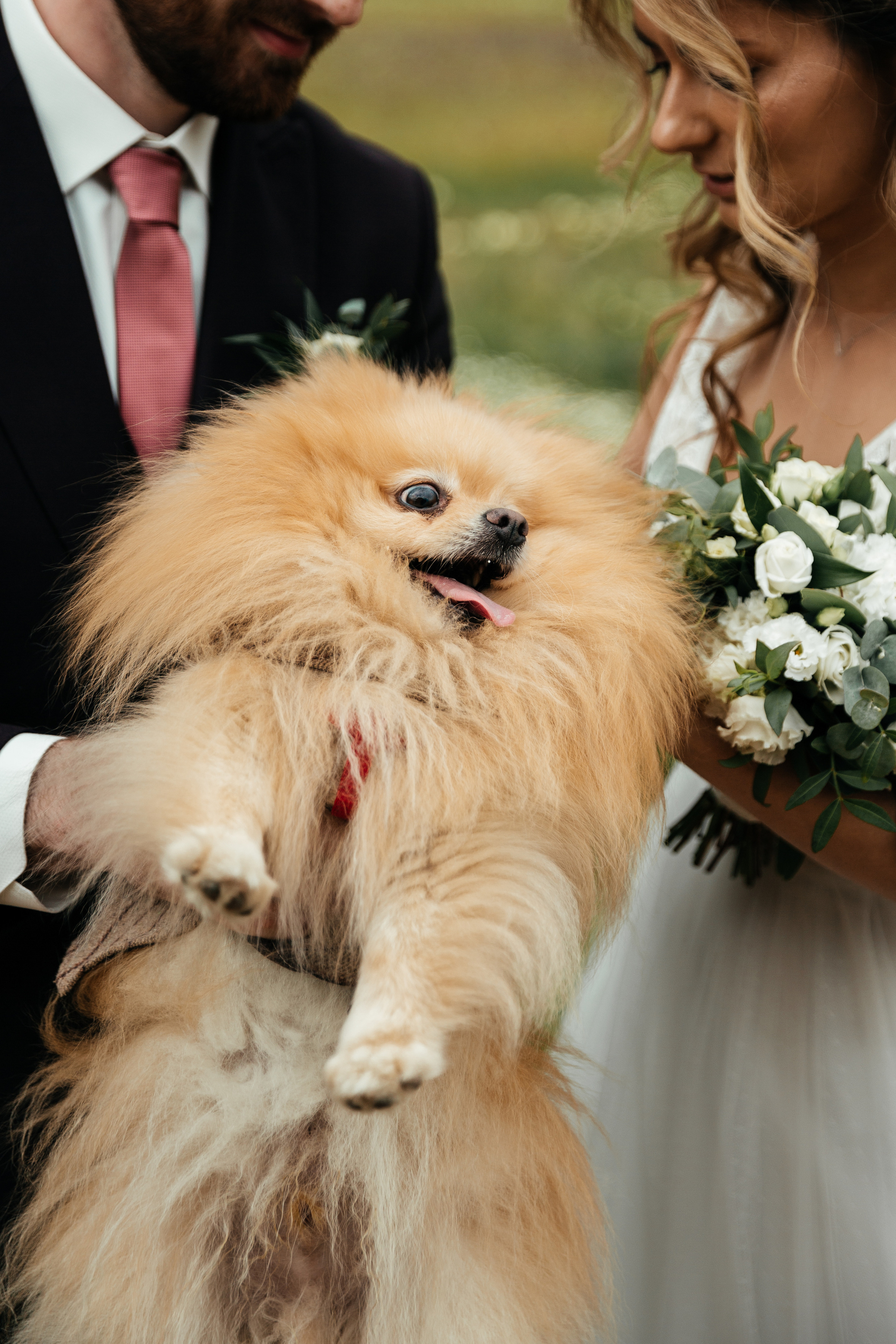 Екатерина и Владислав | Pine River. Свадебный фотограф Ангелина Зотова | Обнинск, Москва, Калуга