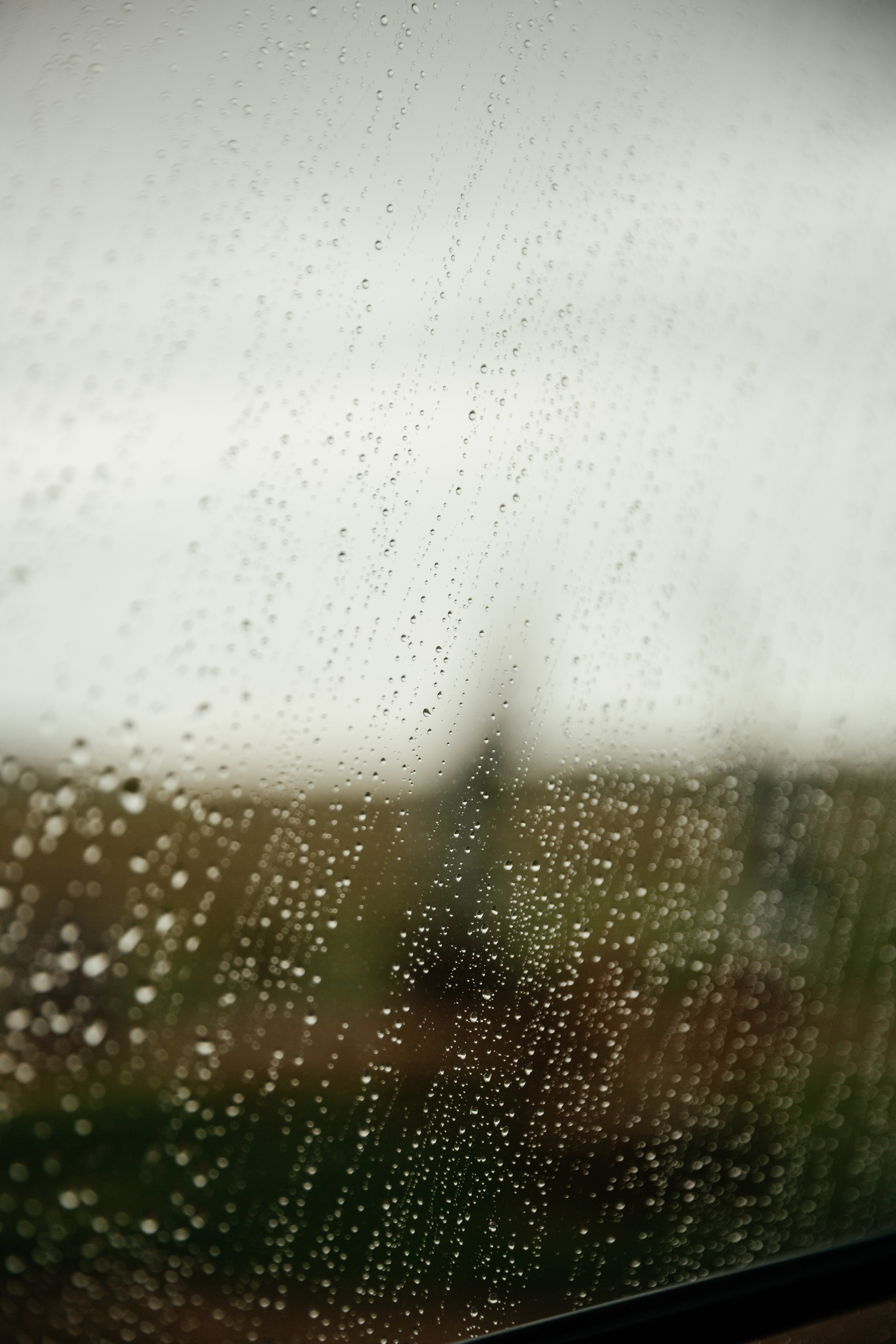 Екатерина и Владислав | Pine River. Свадебный фотограф Ангелина Зотова | Обнинск, Москва, Калуга