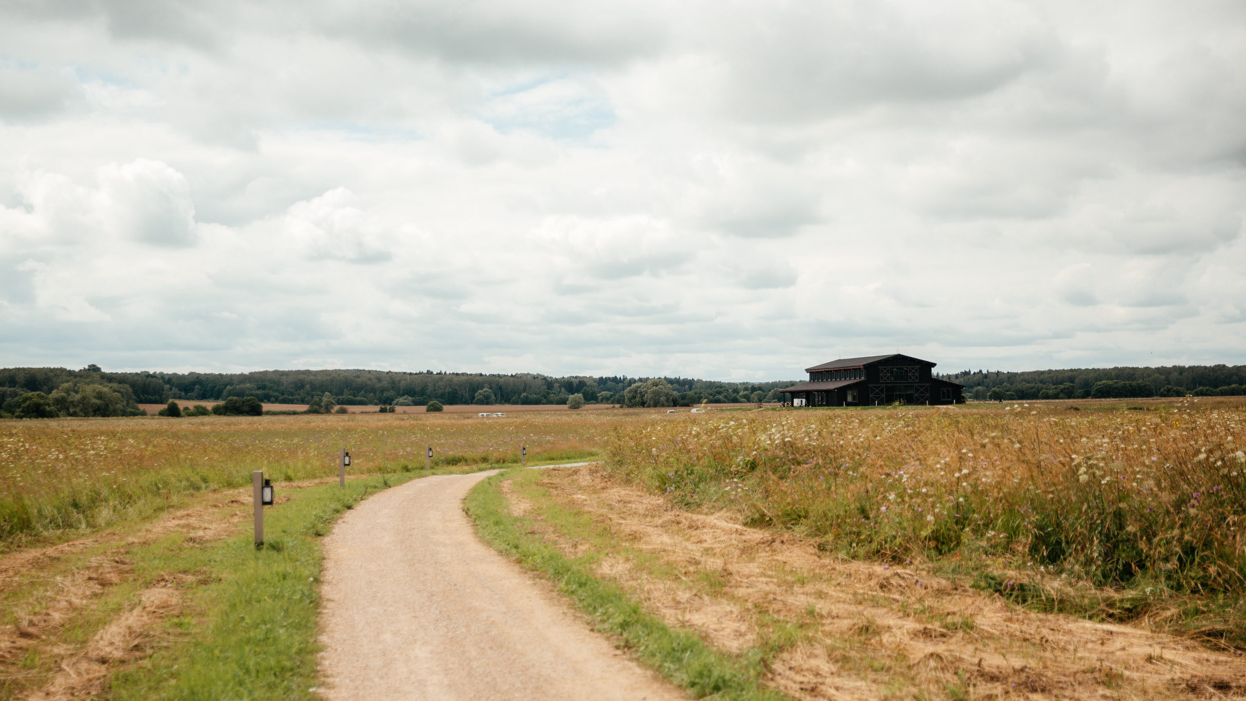Екатерина и Владислав | Pine River. Свадебный фотограф Ангелина Зотова | Обнинск, Москва, Калуга