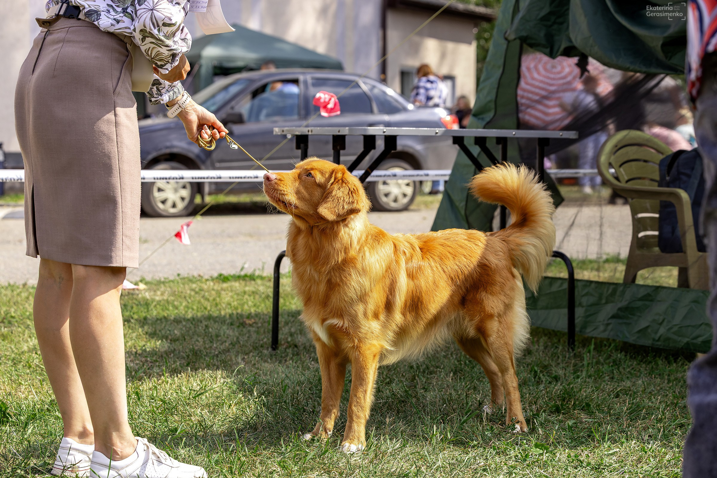 2–3 августа 2025, Выставка РКФ, г. Пермь. Htykk_photo