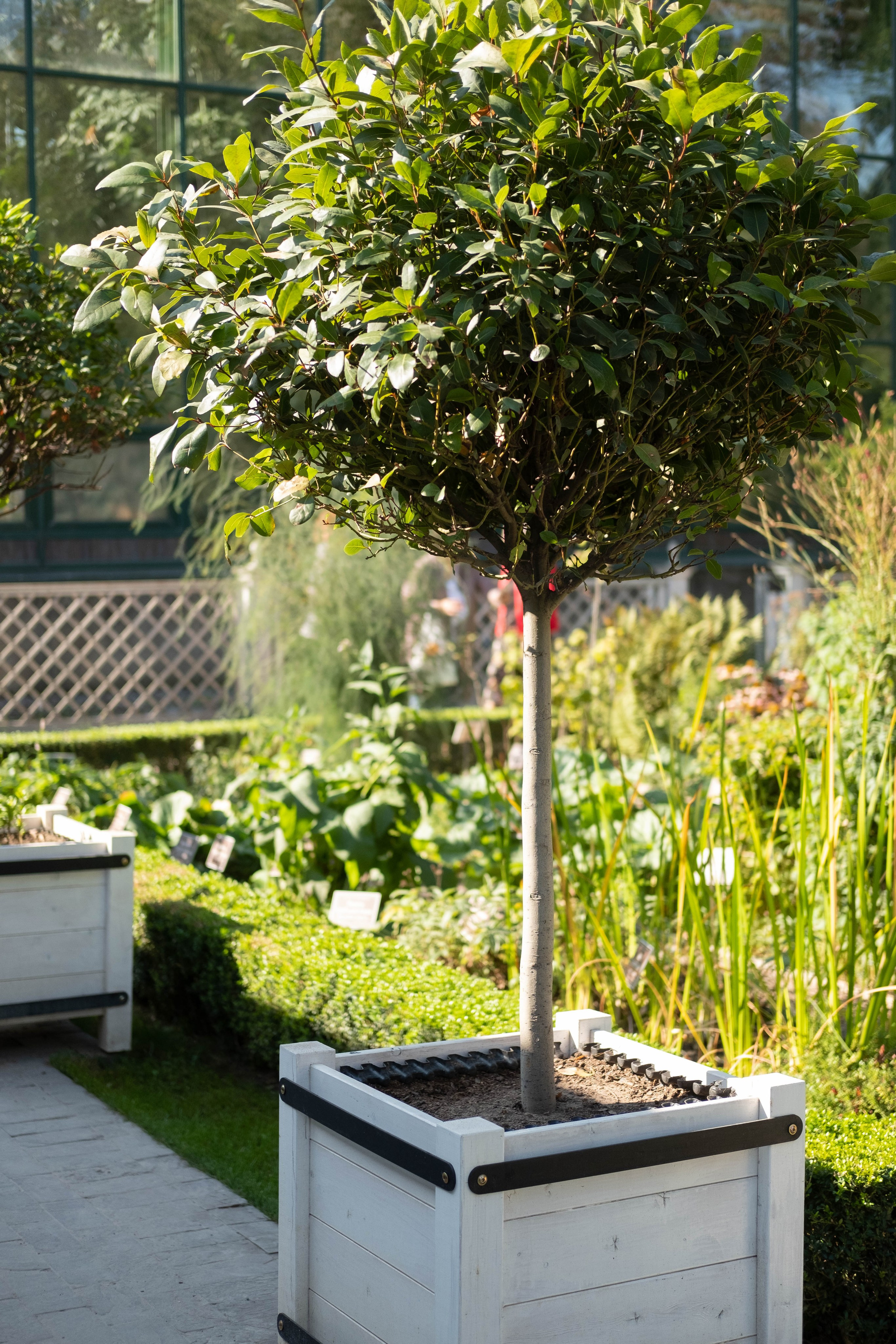 Москва 2024. Свадебный и семейный фотограф в Новосибирске, Санкт-Петербурге, Москве