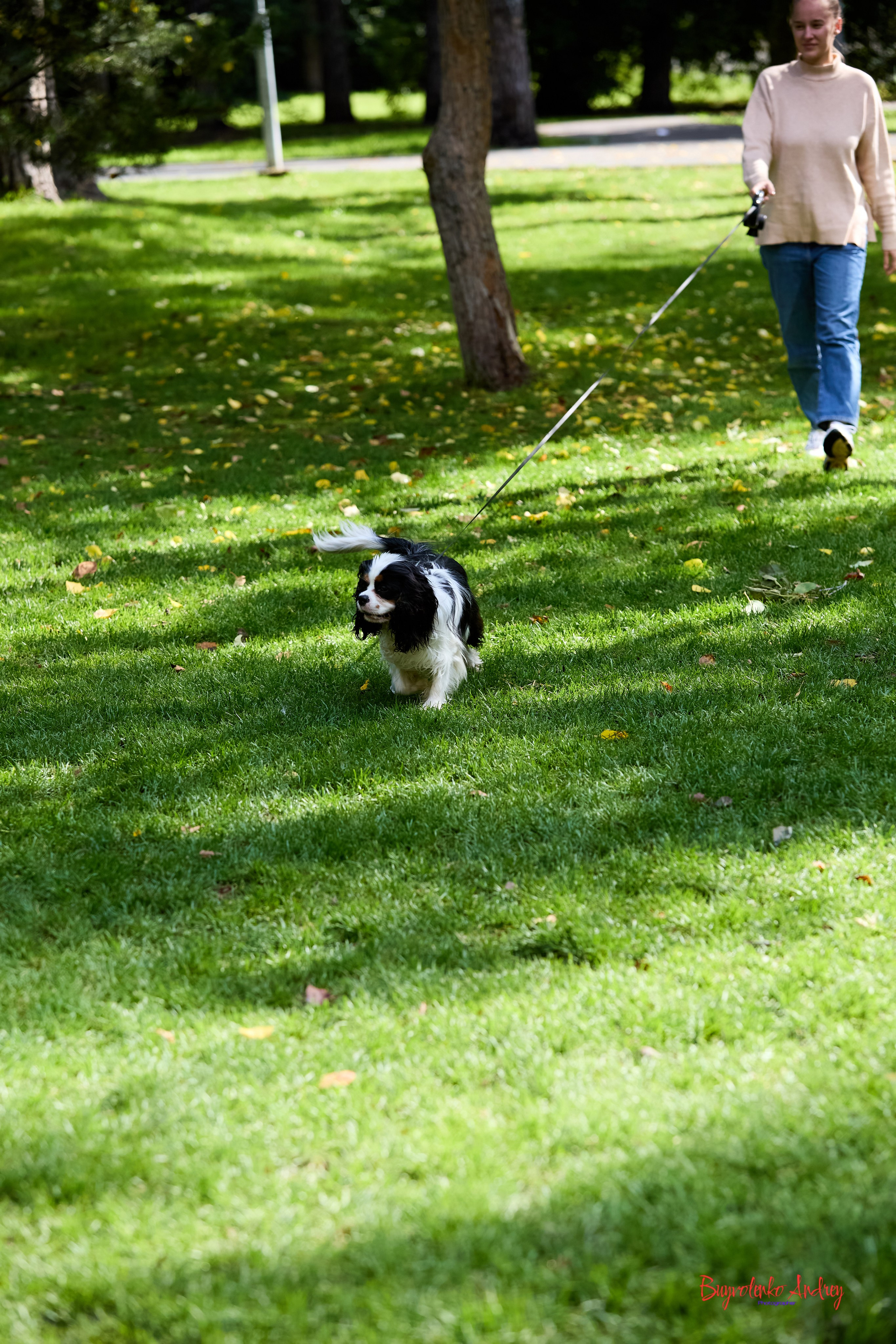 Фотопрогулка с кавалерами. Buyvolenko Andrey