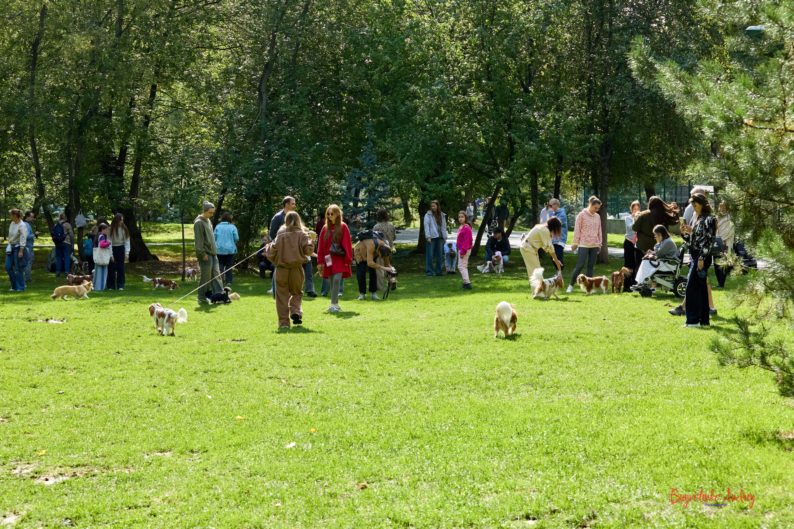 Фотопрогулка с кавалерами. Buyvolenko Andrey