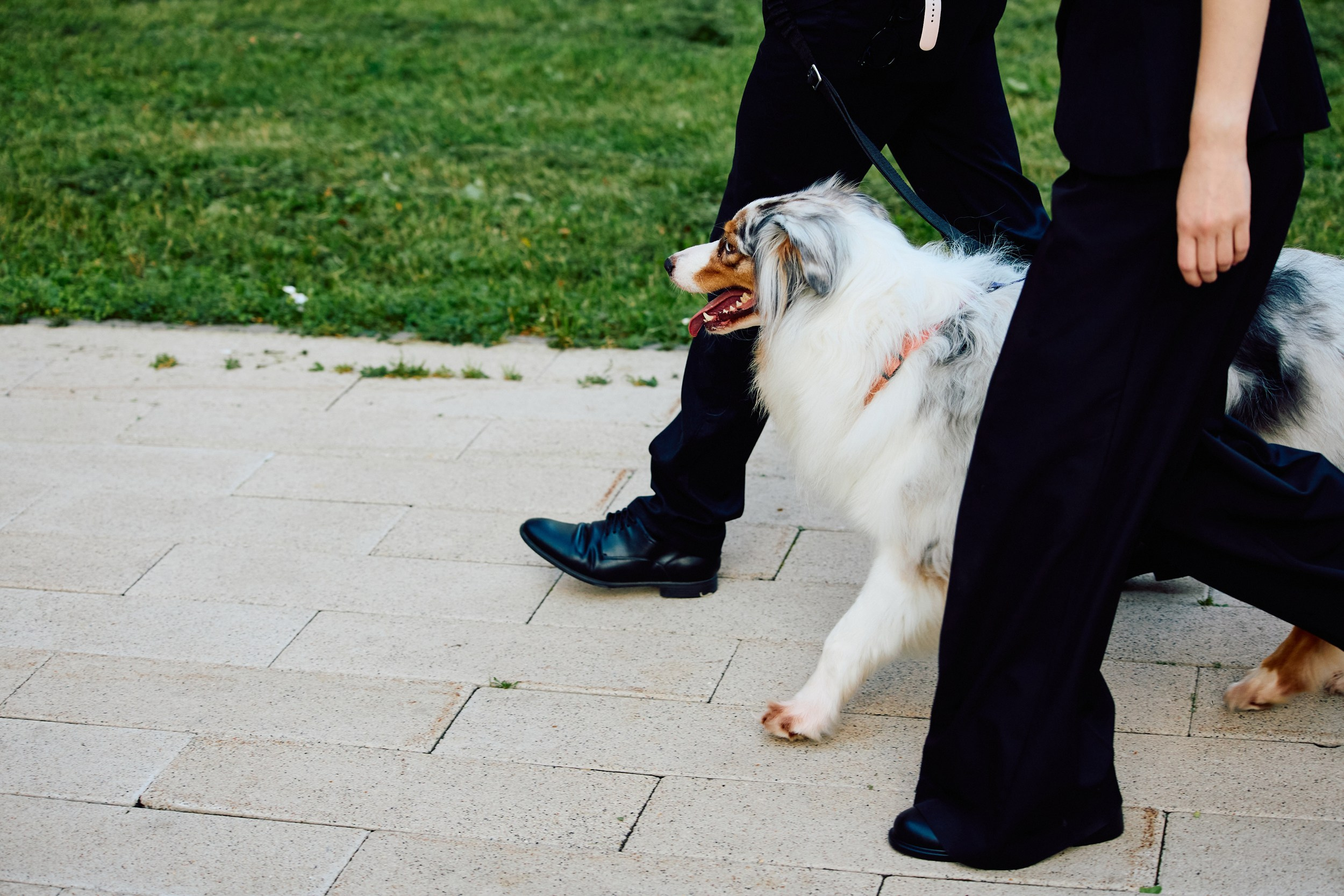 41. Фотограф Недорез Александр в Москве. Репортаж на ваших мероприятиях