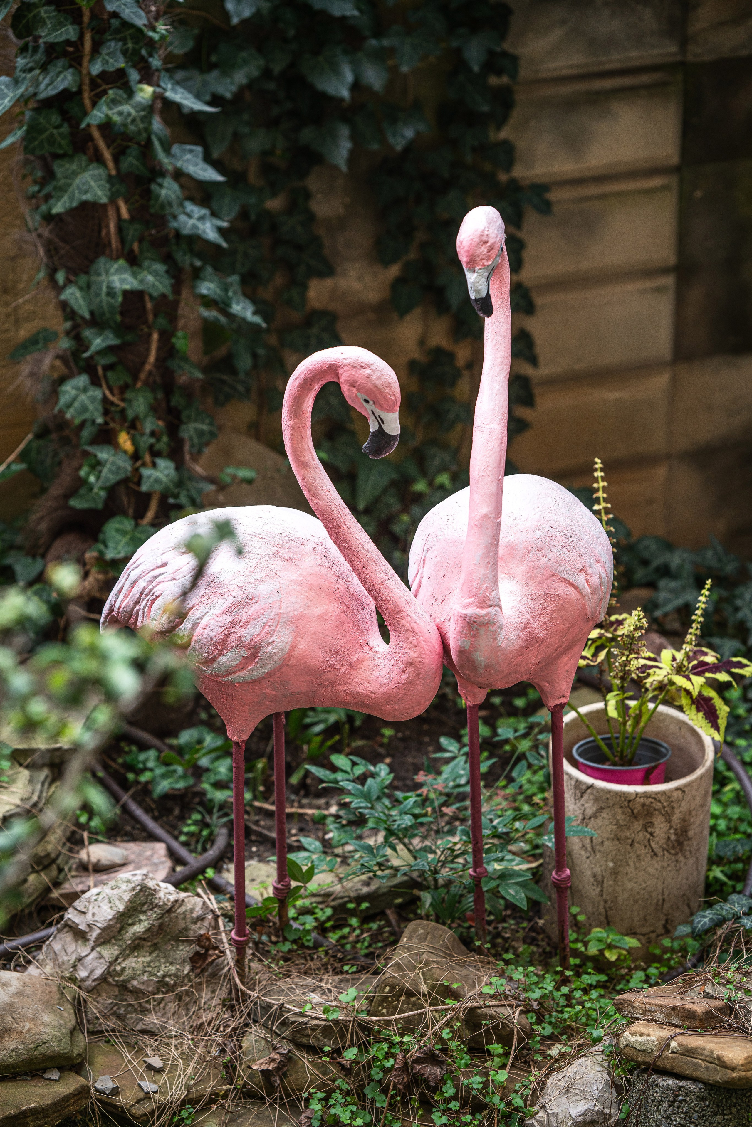 Фотограф интерьера Сочи. Фотограф Сочи