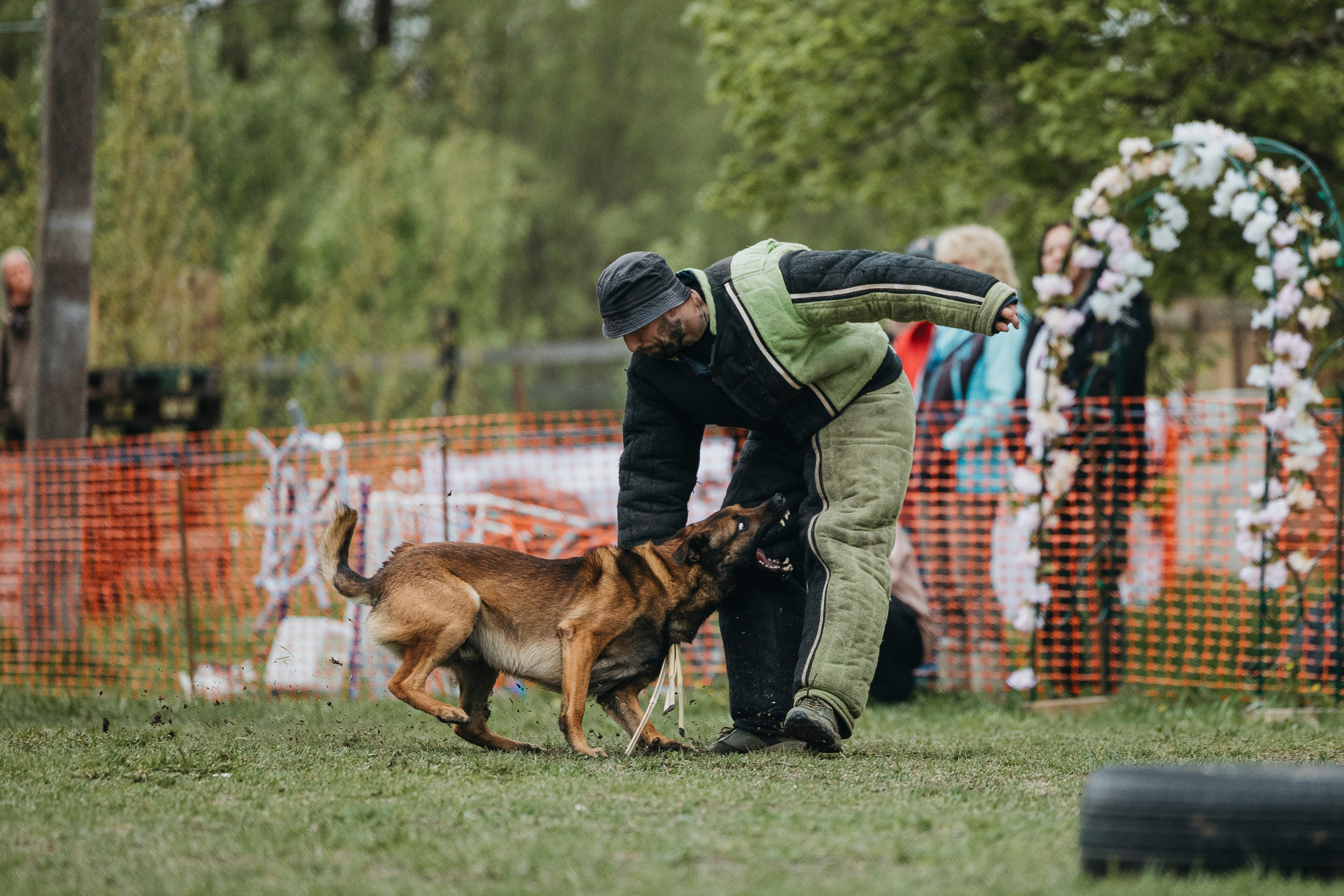 26.05.25 г. Пушкин квалификационные соревнования. Фотограф-анималист Анна Маринич
