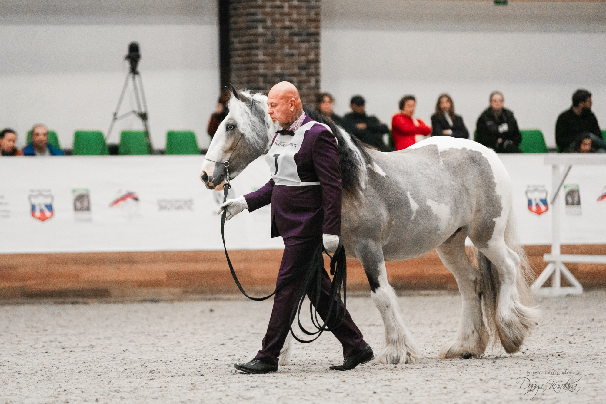 8-я международная выставка Конная Россия. Конный фотограф Куракина Дарья • Фотосессии с лошадьми