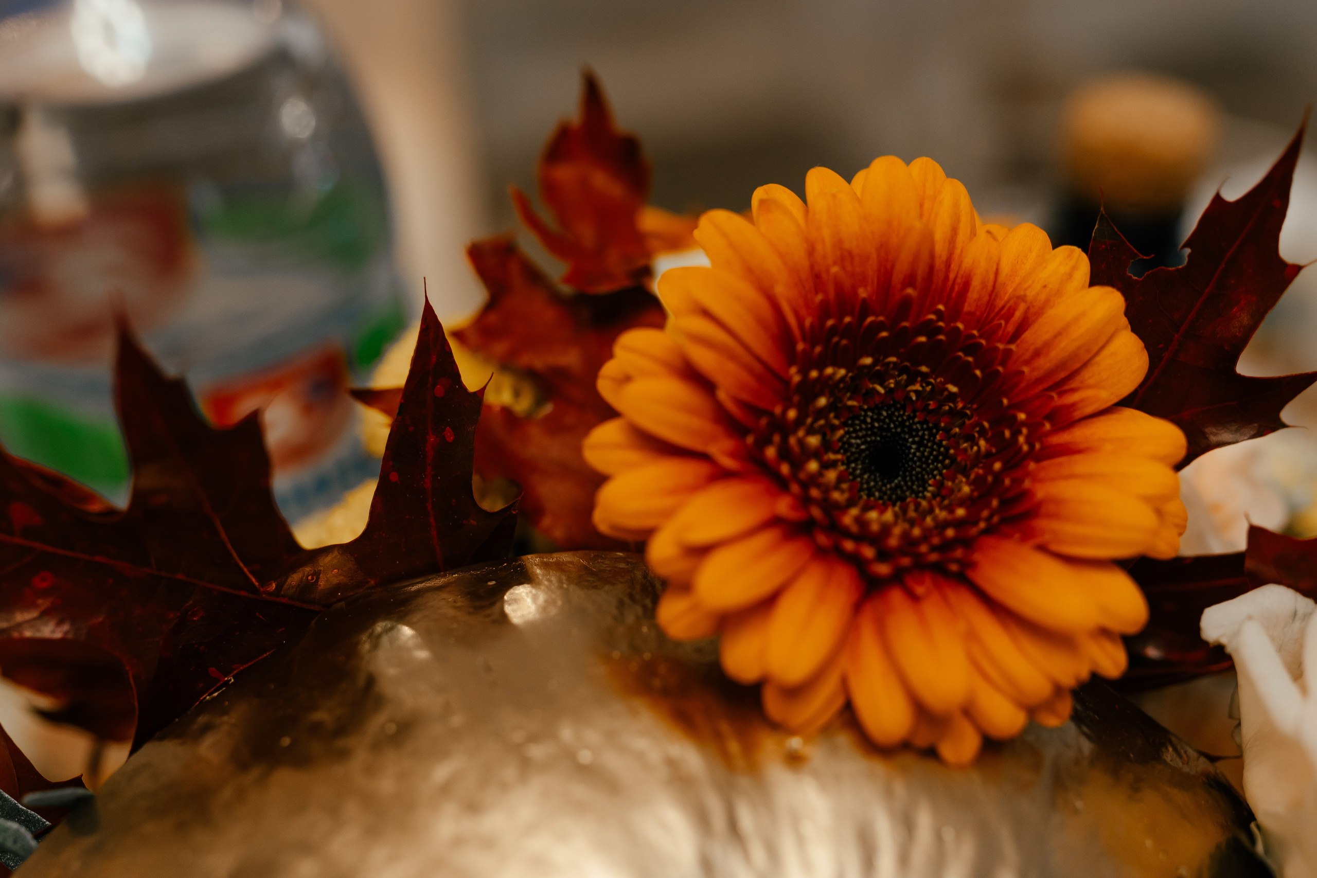 Юбилей Анны. Фотограф Торопец Кристина Абрамова Kanwellia photography