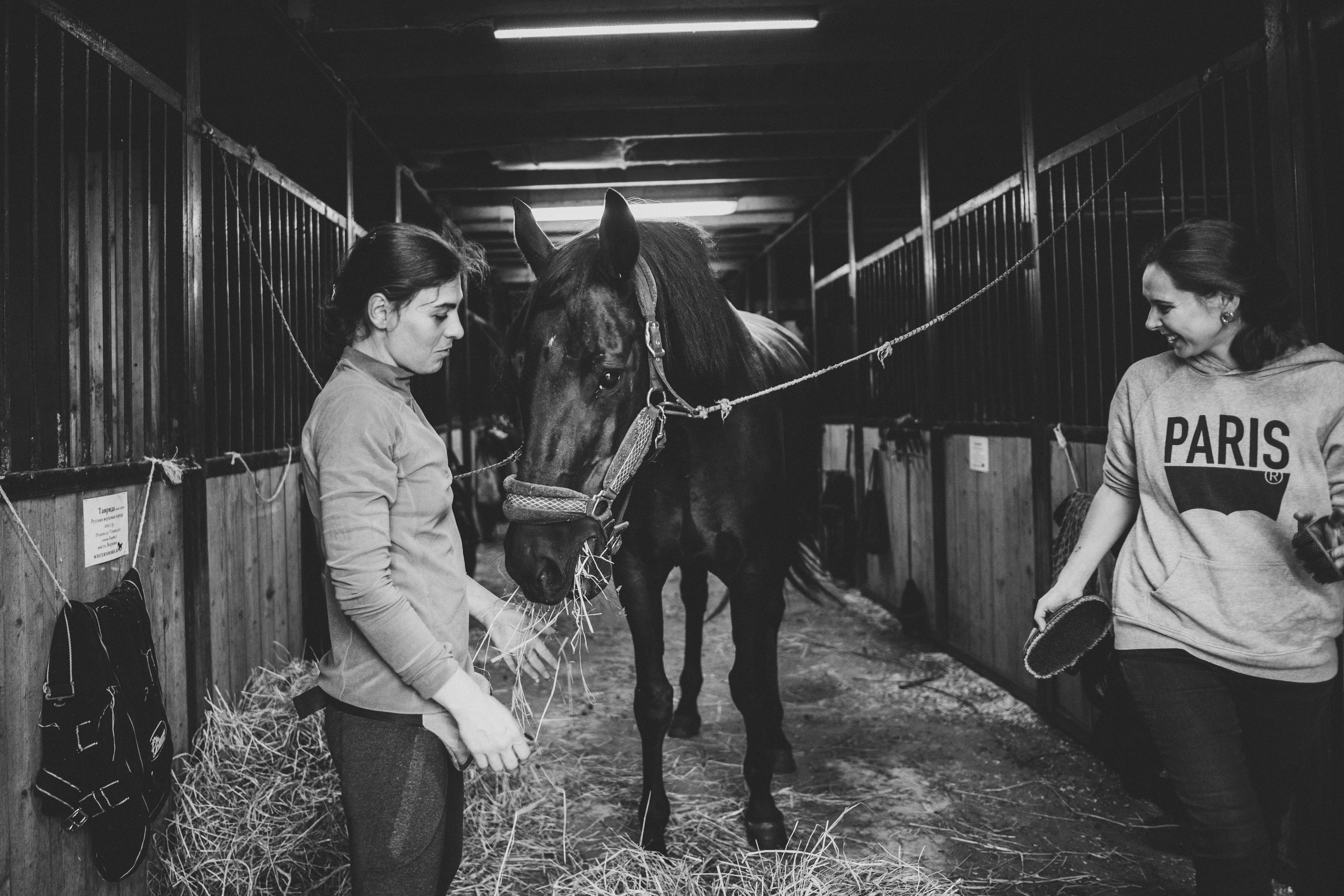 Про любовь, веселье, капризы и сон в повозке…. Семейный фотограф, фотограф родов, репортажей фотограф в Санкт-Петербу