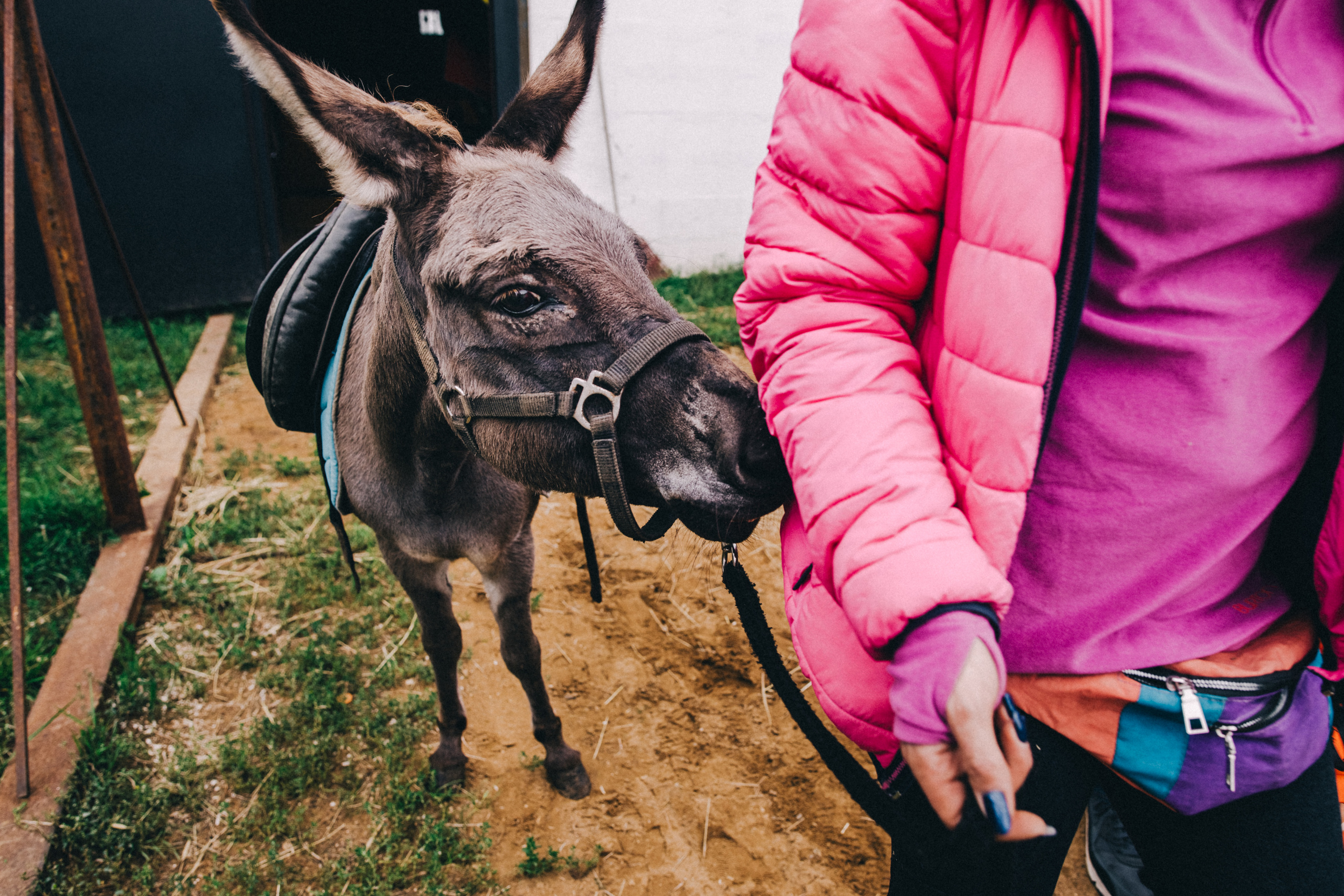 Про любовь, веселье, капризы и сон в повозке…. Семейный фотограф, фотограф родов, репортажей фотограф в Санкт-Петербу