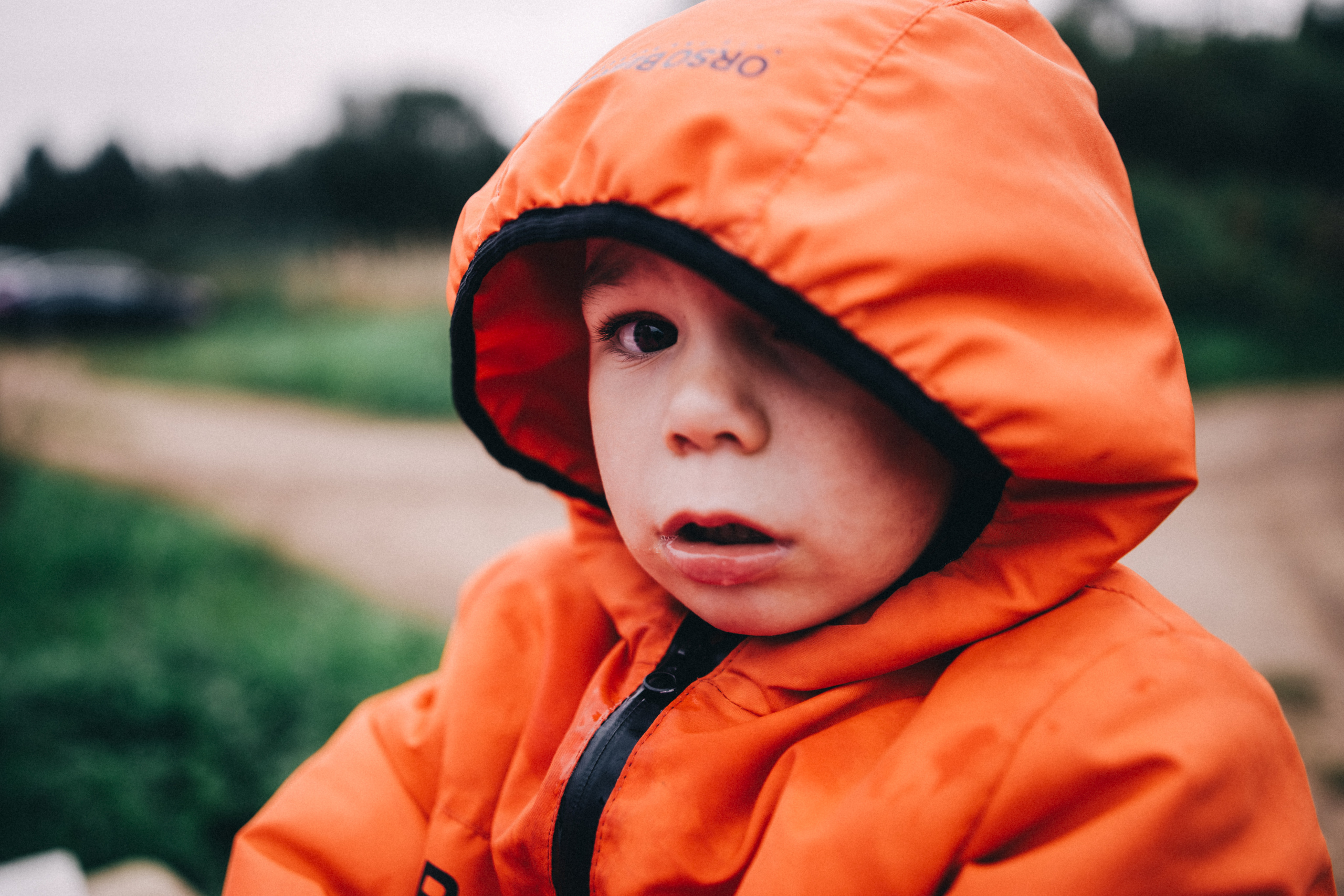 Про любовь, веселье, капризы и сон в повозке…. Семейный фотограф, фотограф родов, репортажей фотограф в Санкт-Петербу