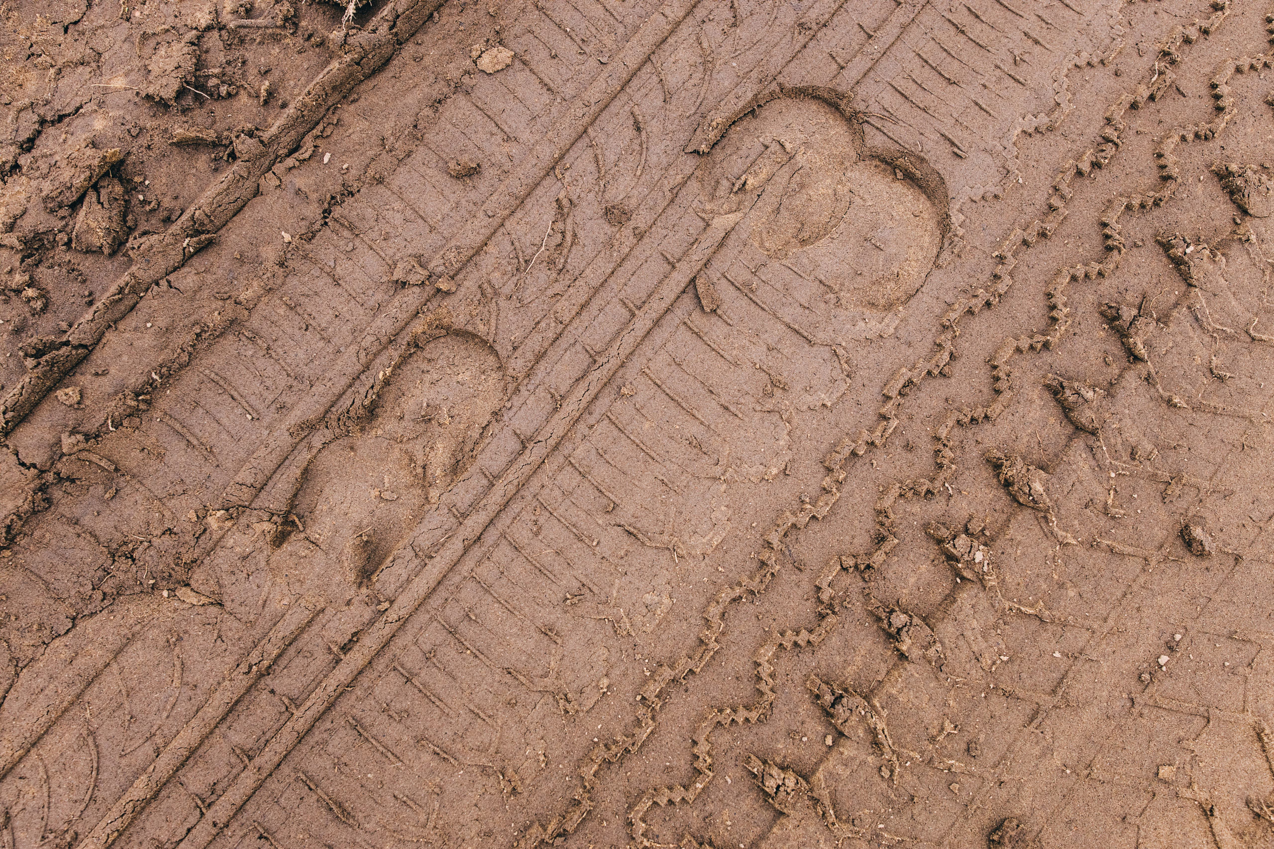Про любовь, веселье, капризы и сон в повозке…. Семейный фотограф, фотограф родов, репортажей фотограф в Санкт-Петербу