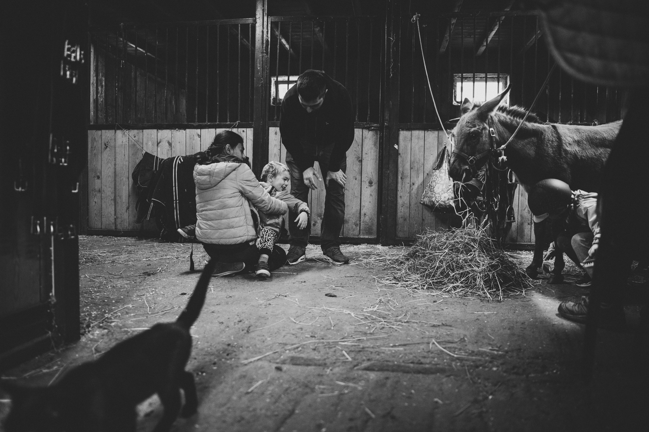 Про любовь, веселье, капризы и сон в повозке…. Семейный фотограф, фотограф родов, репортажей фотограф в Санкт-Петербу