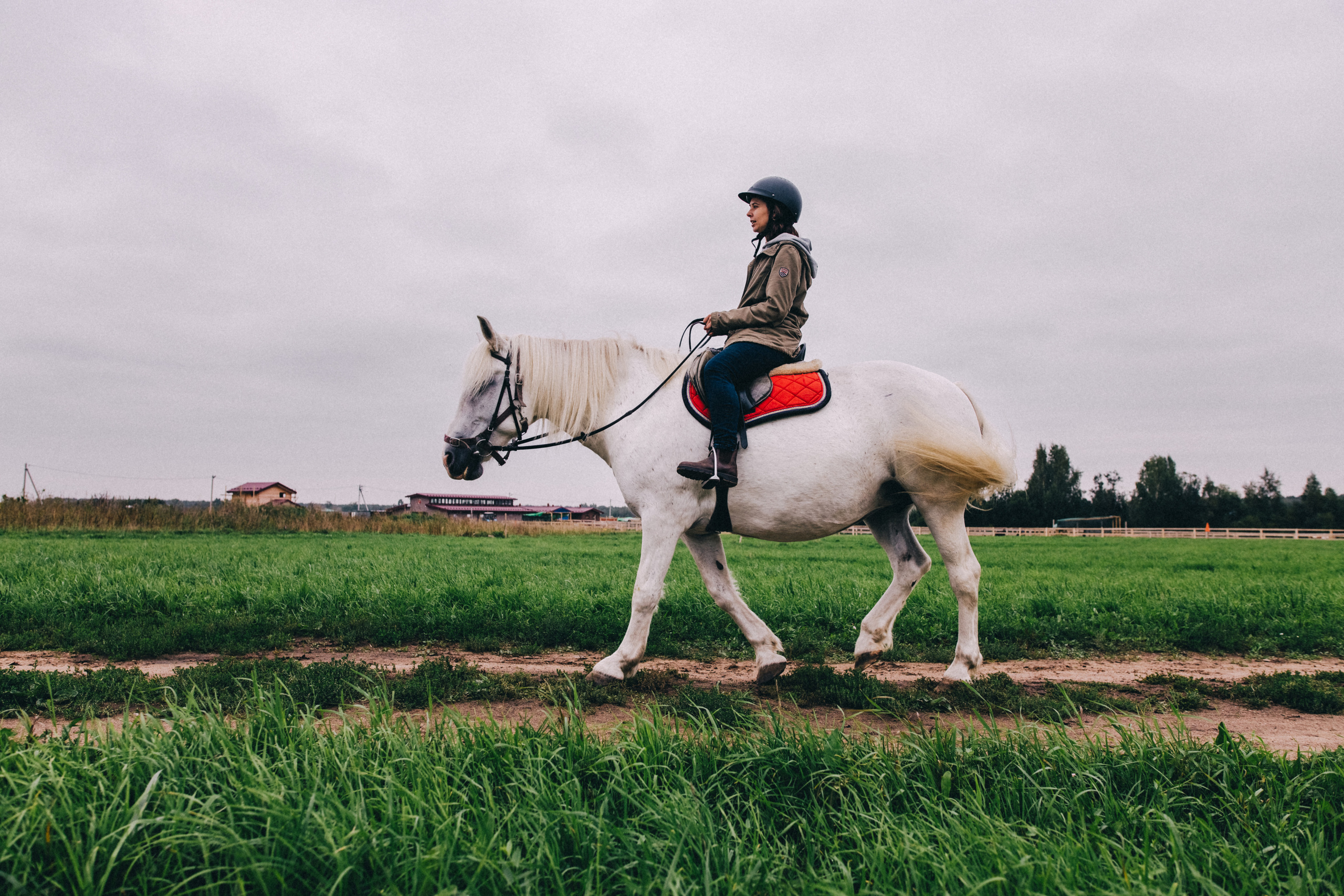 Про любовь, веселье, капризы и сон в повозке…. Семейный фотограф, фотограф родов, репортажей фотограф в Санкт-Петербу