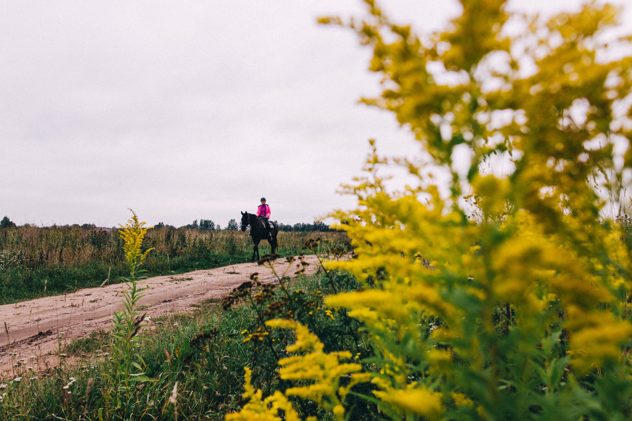 Про любовь, веселье, капризы и сон в повозке…. Семейный фотограф, фотограф родов, репортажей фотограф в Санкт-Петербу
