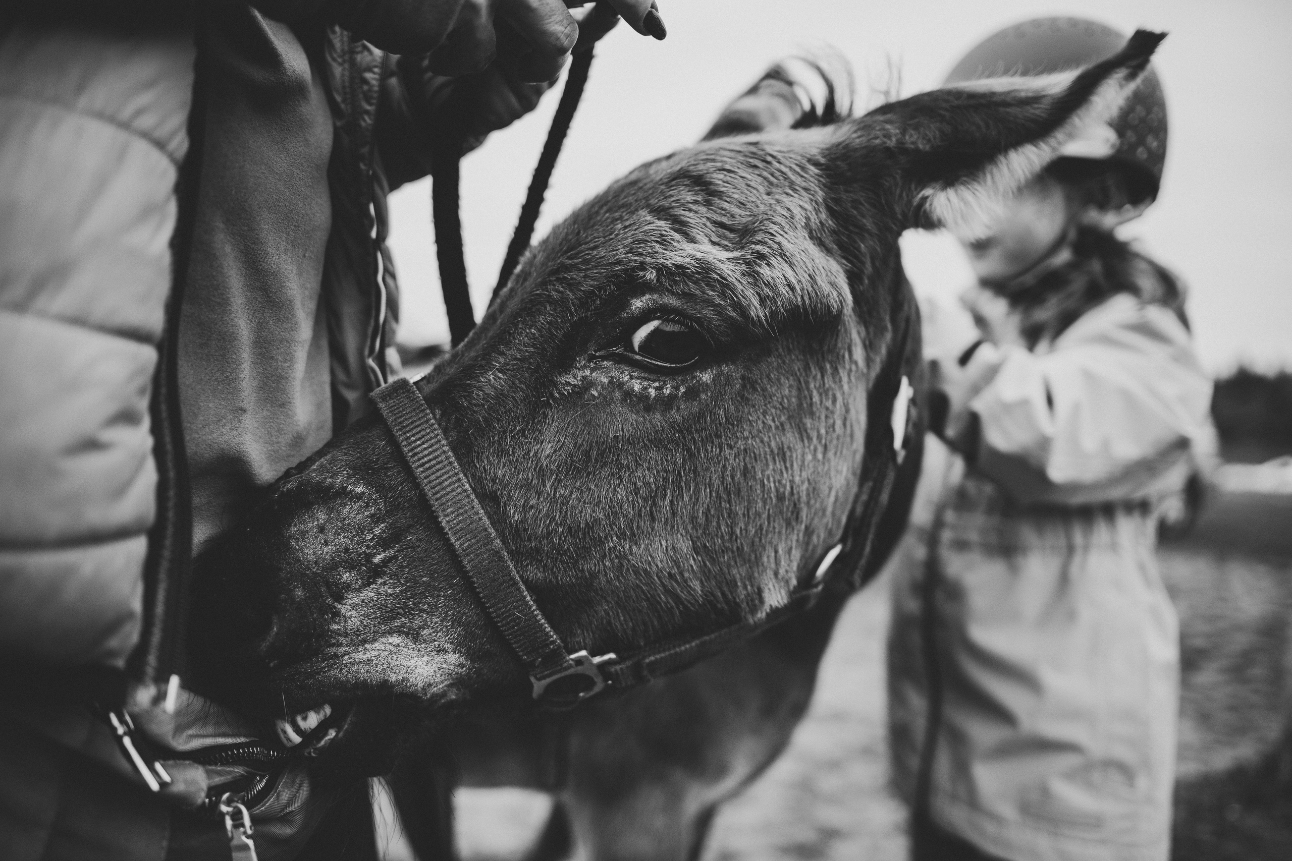 Про любовь, веселье, капризы и сон в повозке…. Семейный фотограф, фотограф родов, репортажей фотограф в Санкт-Петербу