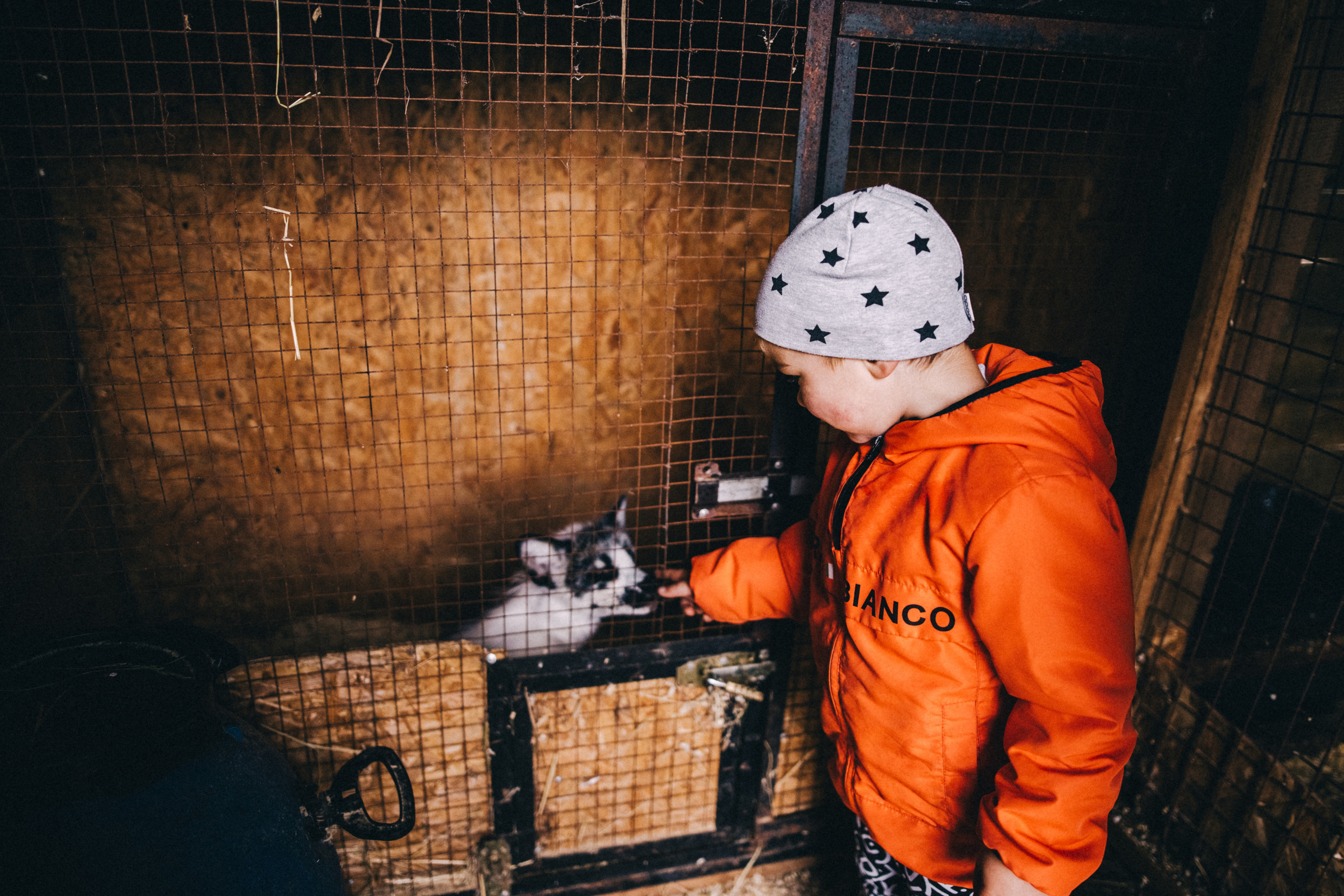Про любовь, веселье, капризы и сон в повозке…. Семейный фотограф, фотограф родов, репортажей фотограф в Санкт-Петербу