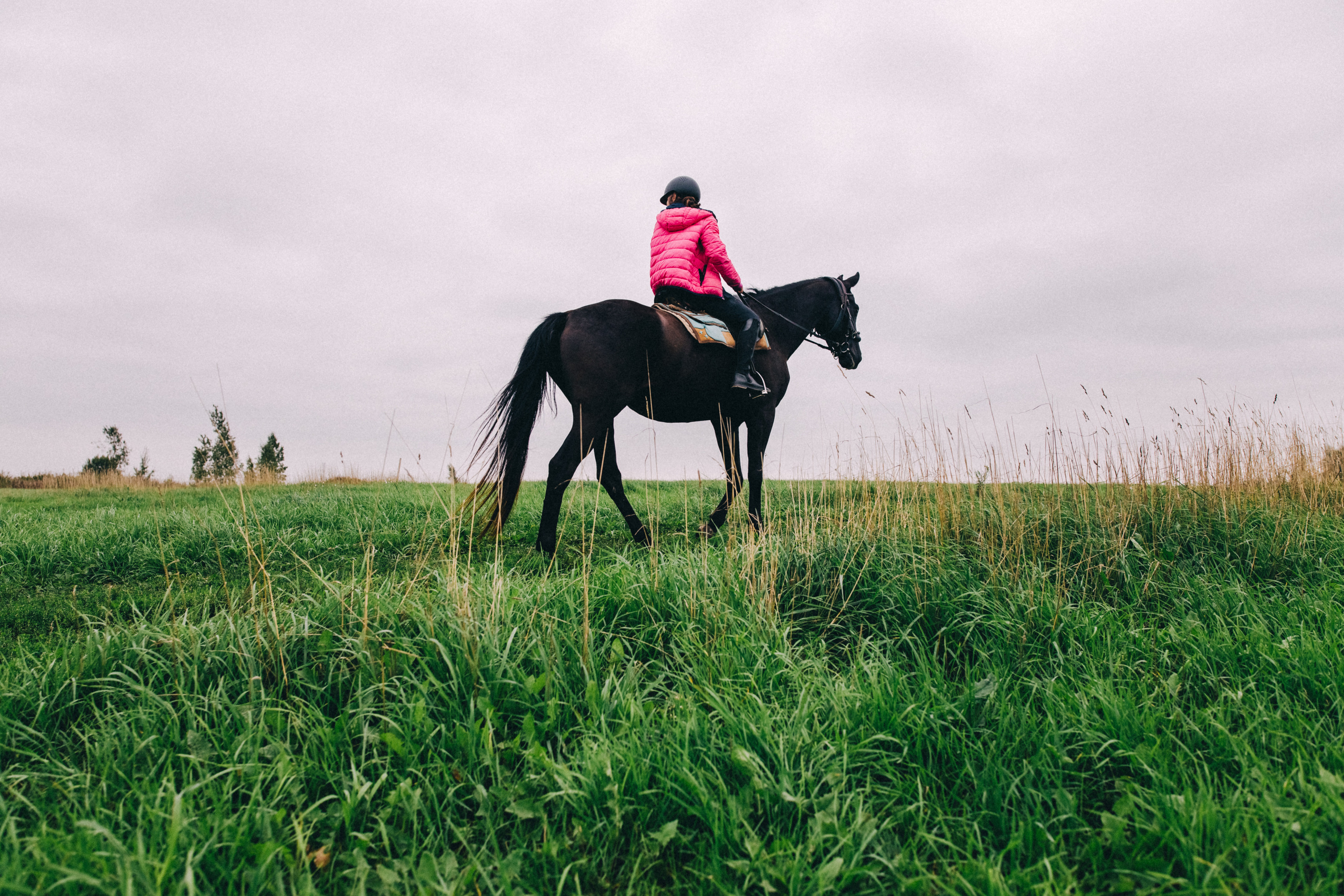 Про любовь, веселье, капризы и сон в повозке…. Семейный фотограф, фотограф родов, репортажей фотограф в Санкт-Петербу