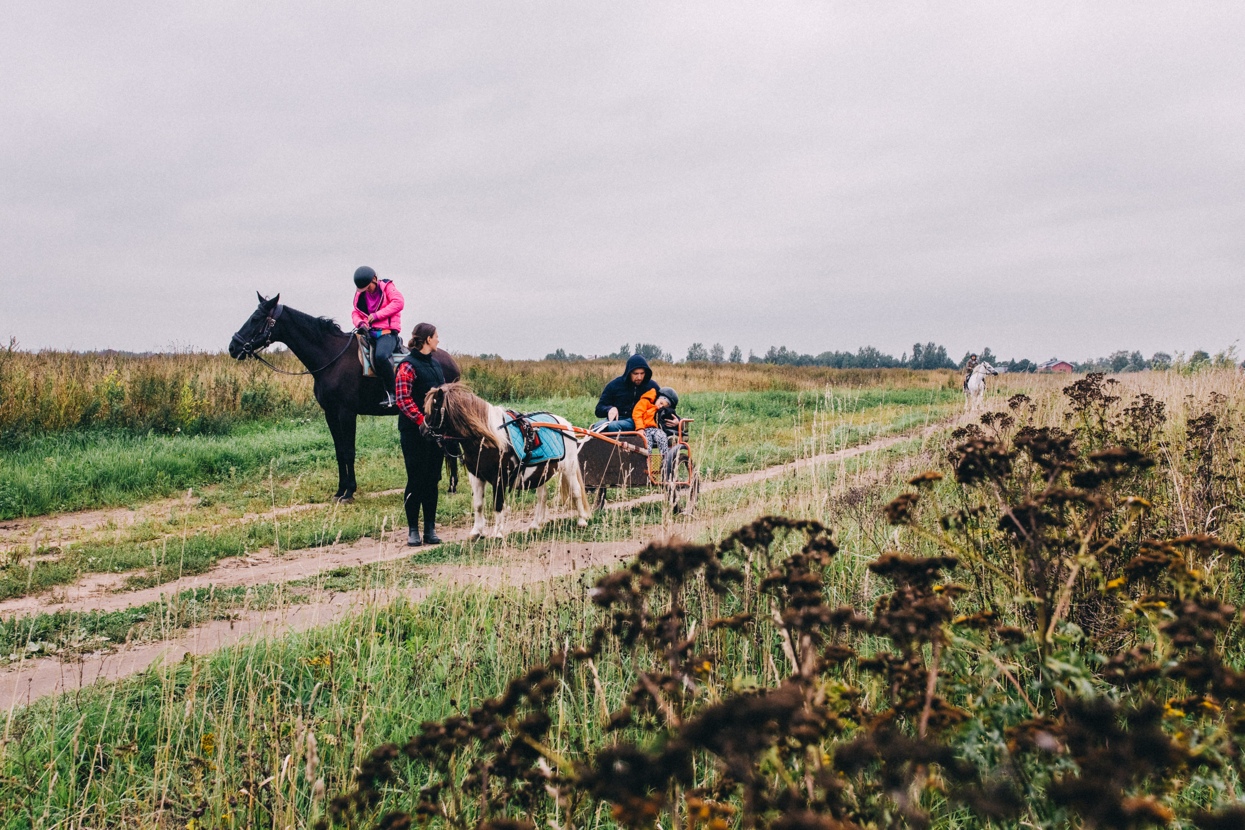 Про любовь, веселье, капризы и сон в повозке…. Семейный фотограф, фотограф родов, репортажей фотограф в Санкт-Петербу