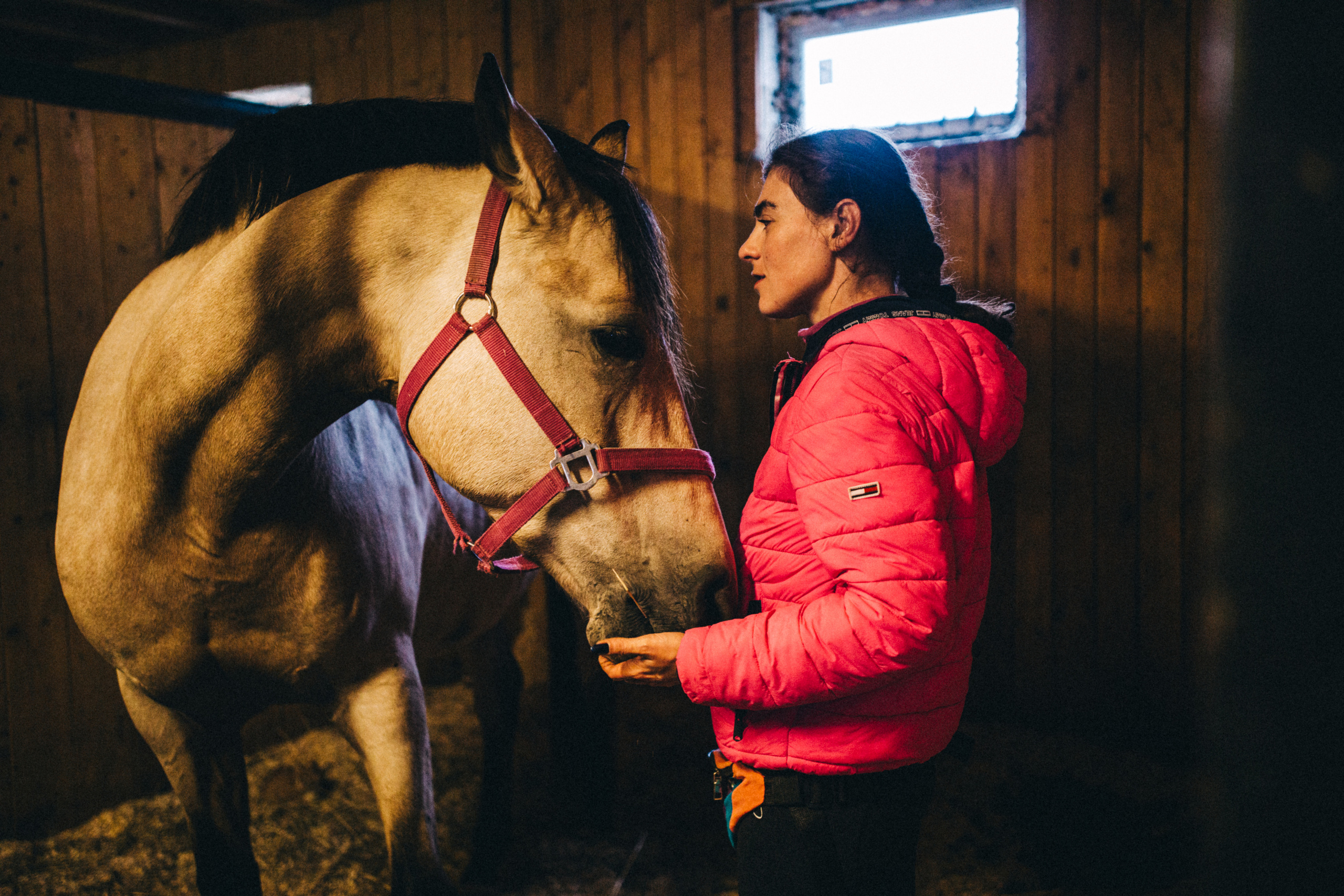 Про любовь, веселье, капризы и сон в повозке…. Семейный фотограф, фотограф родов, репортажей фотограф в Санкт-Петербу