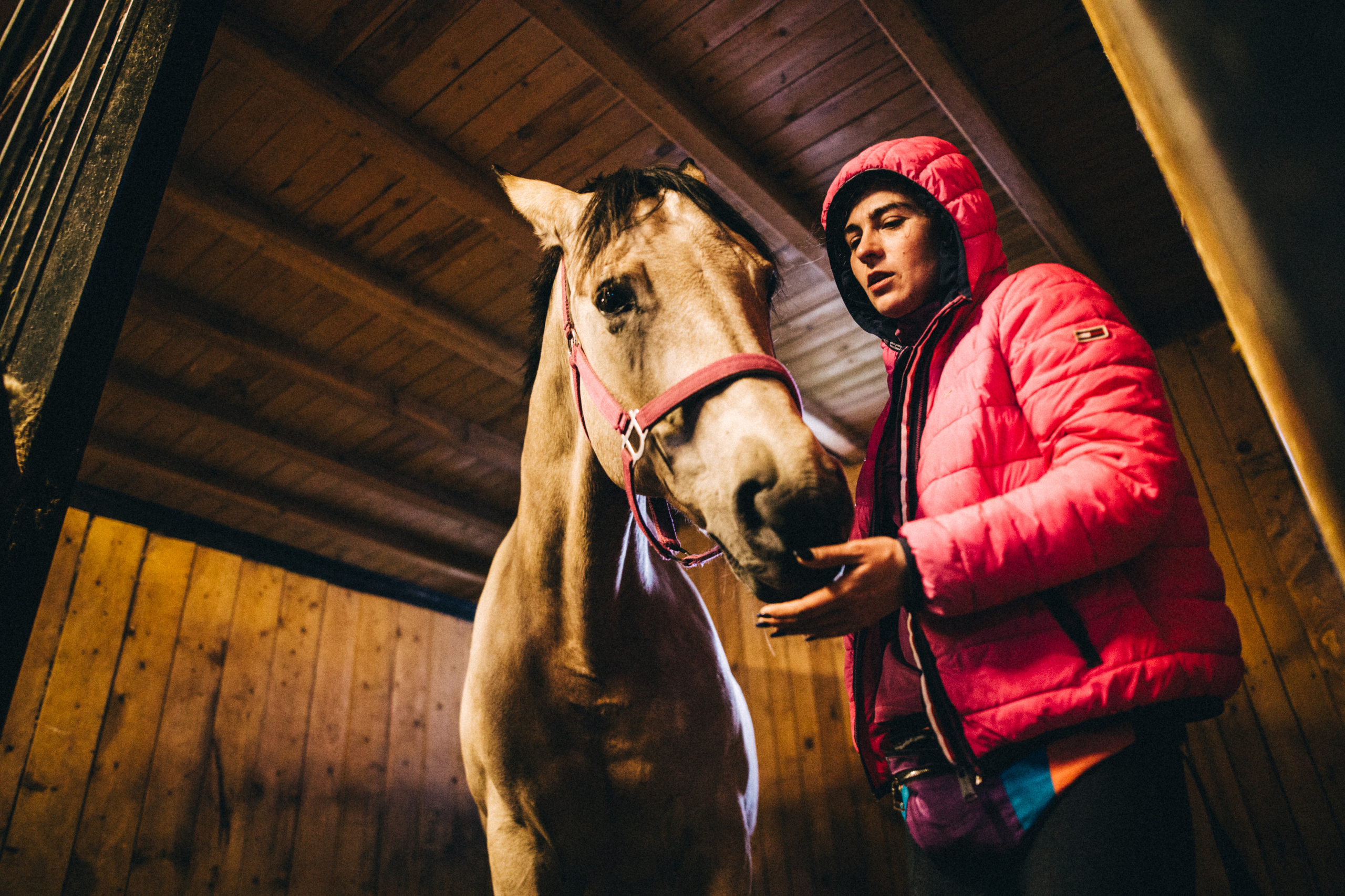 Про любовь, веселье, капризы и сон в повозке…. Семейный фотограф, фотограф родов, репортажей фотограф в Санкт-Петербу