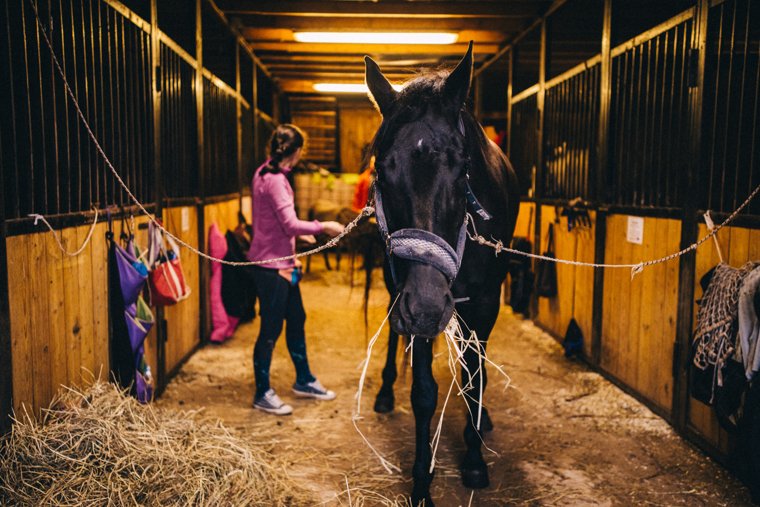 Про любовь, веселье, капризы и сон в повозке…. Семейный фотограф, фотограф родов, репортажей фотограф в Санкт-Петербу