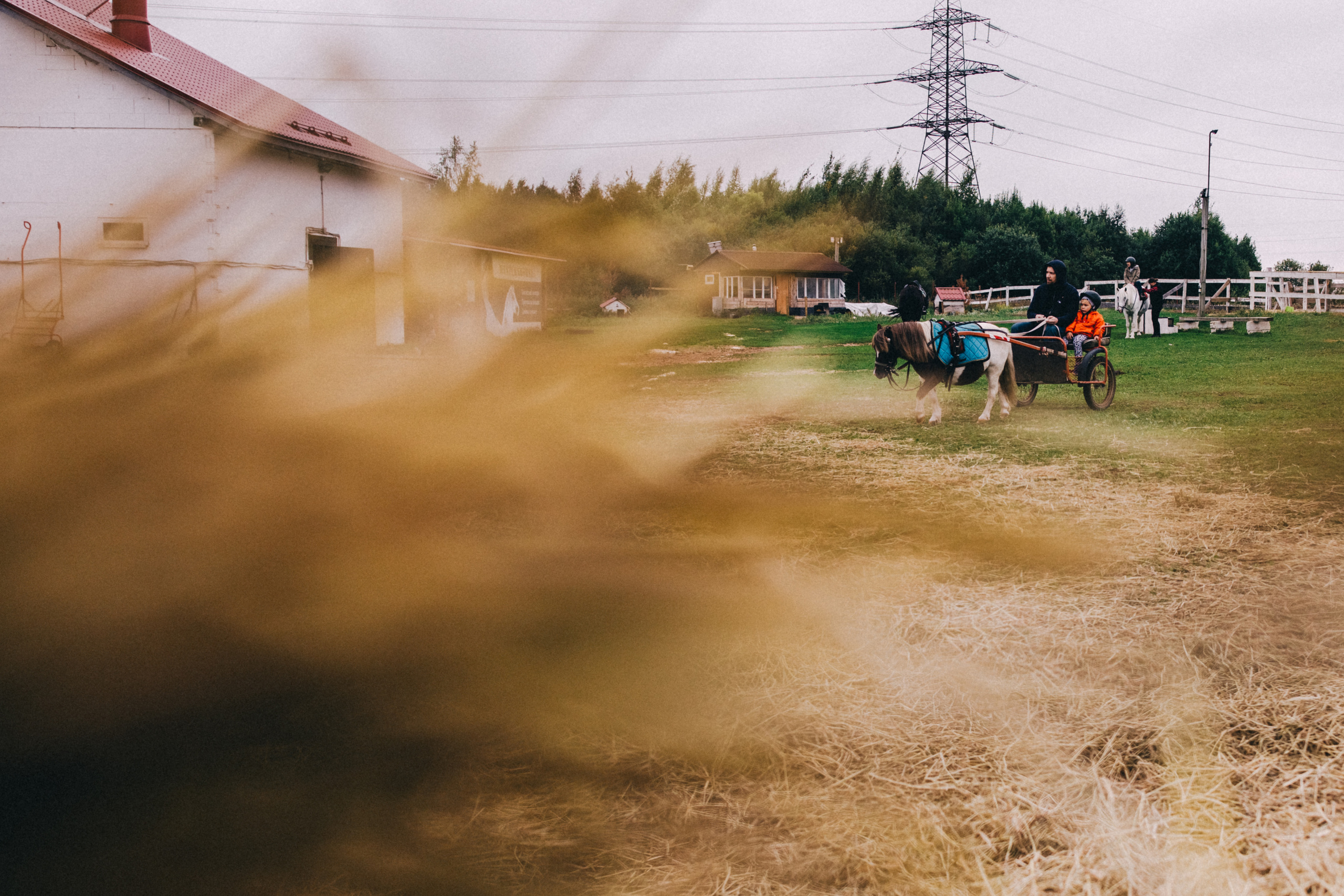 Про любовь, веселье, капризы и сон в повозке…. Семейный фотограф, фотограф родов, репортажей фотограф в Санкт-Петербу