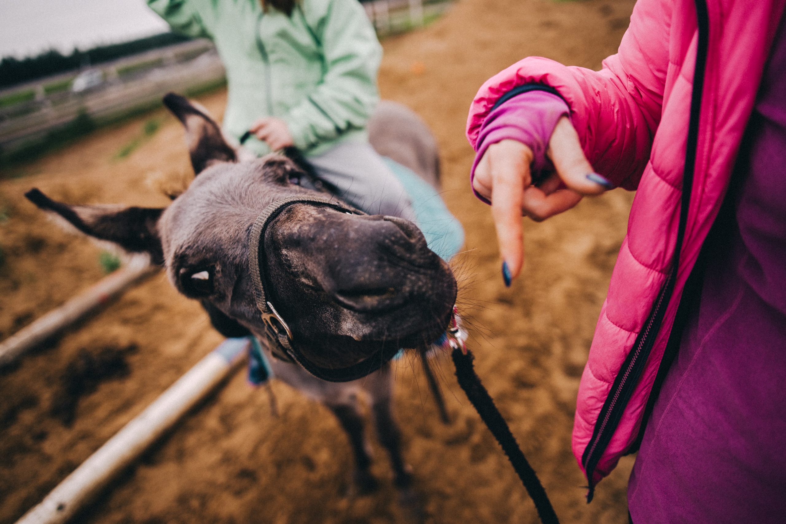 Про любовь, веселье, капризы и сон в повозке…. Семейный фотограф, фотограф родов, репортажей фотограф в Санкт-Петербу
