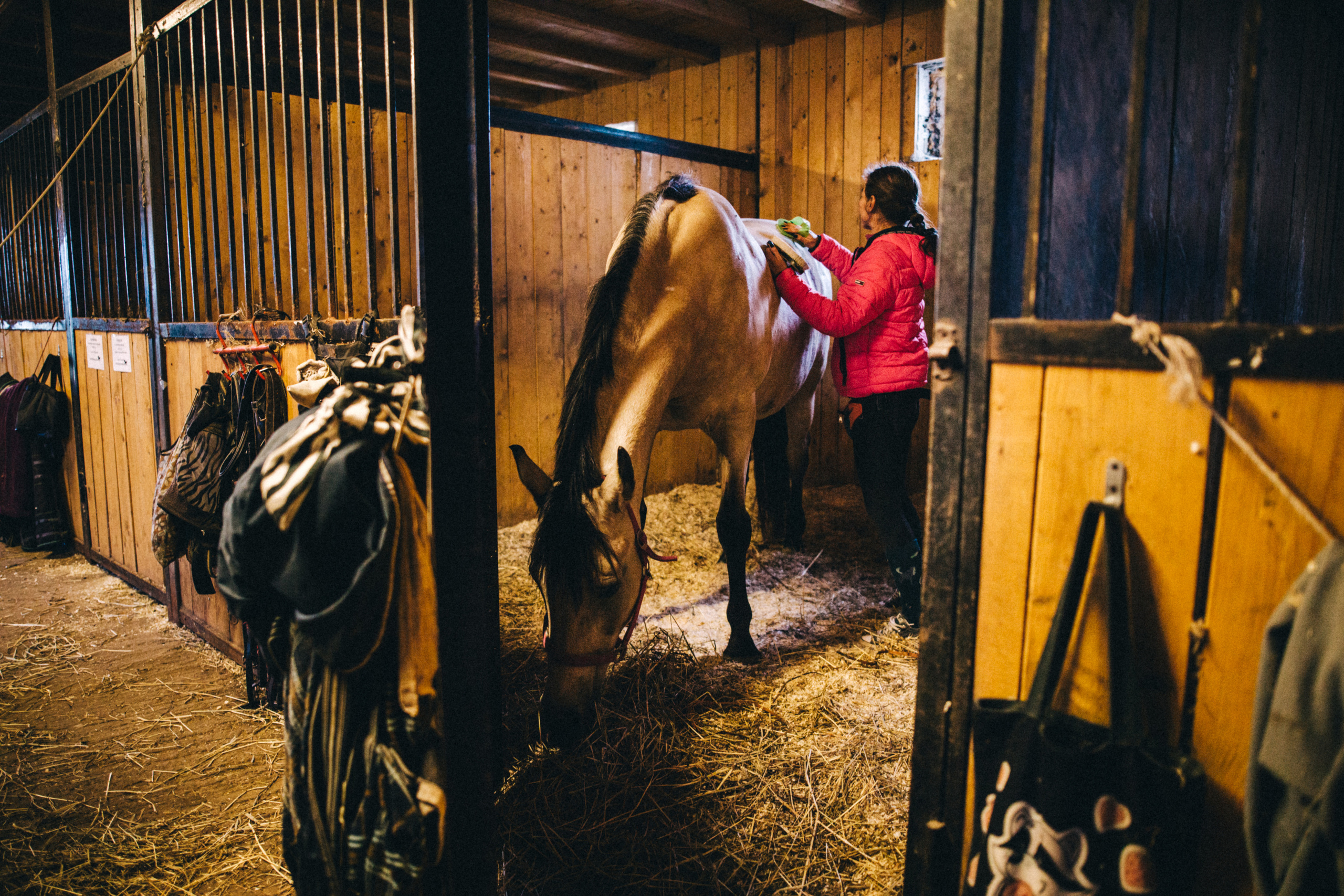 Про любовь, веселье, капризы и сон в повозке…. Семейный фотограф, фотограф родов, репортажей фотограф в Санкт-Петербу