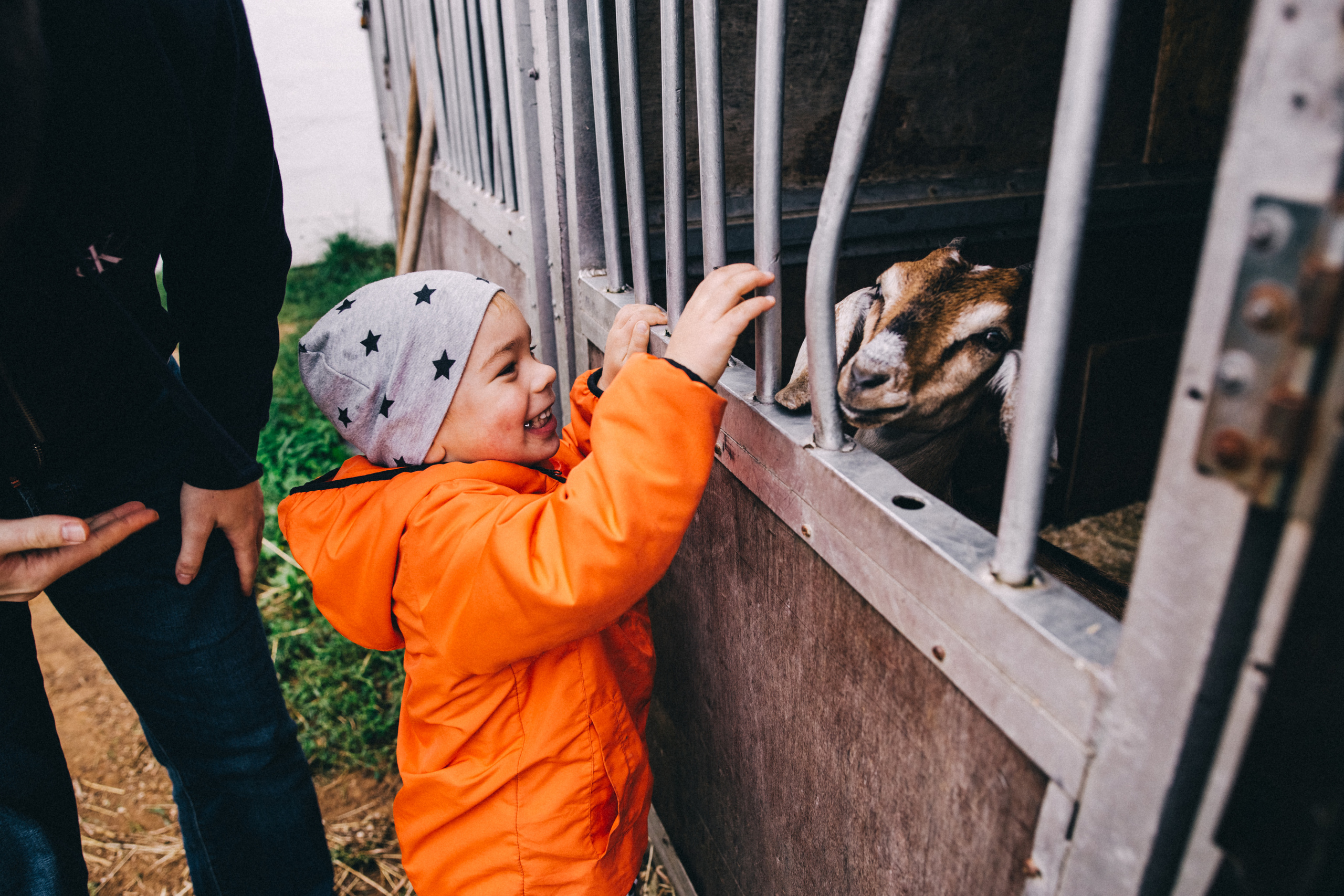 Про любовь, веселье, капризы и сон в повозке…. Семейный фотограф, фотограф родов, репортажей фотограф в Санкт-Петербу