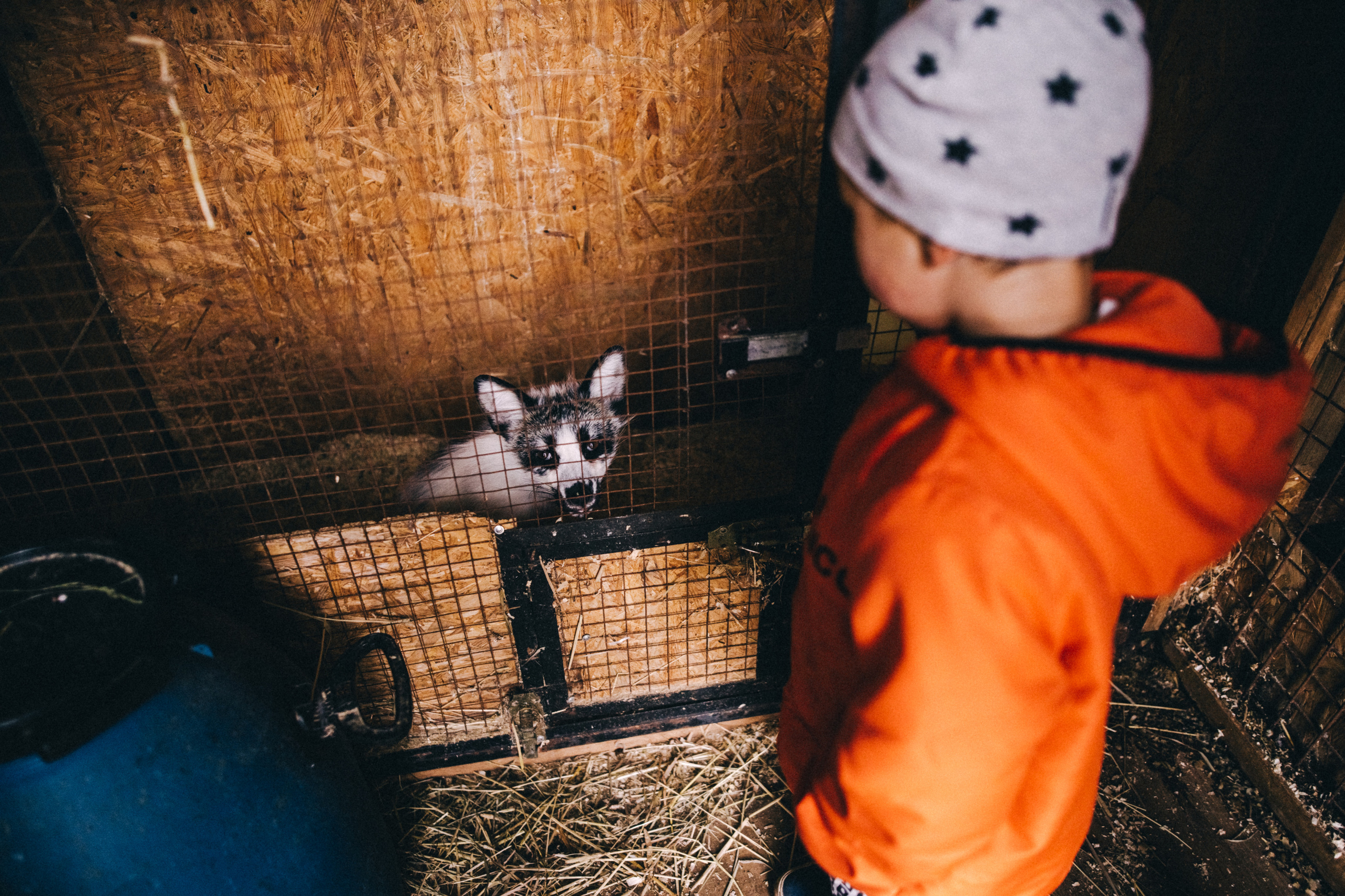 Про любовь, веселье, капризы и сон в повозке…. Семейный фотограф, фотограф родов, репортажей фотограф в Санкт-Петербу