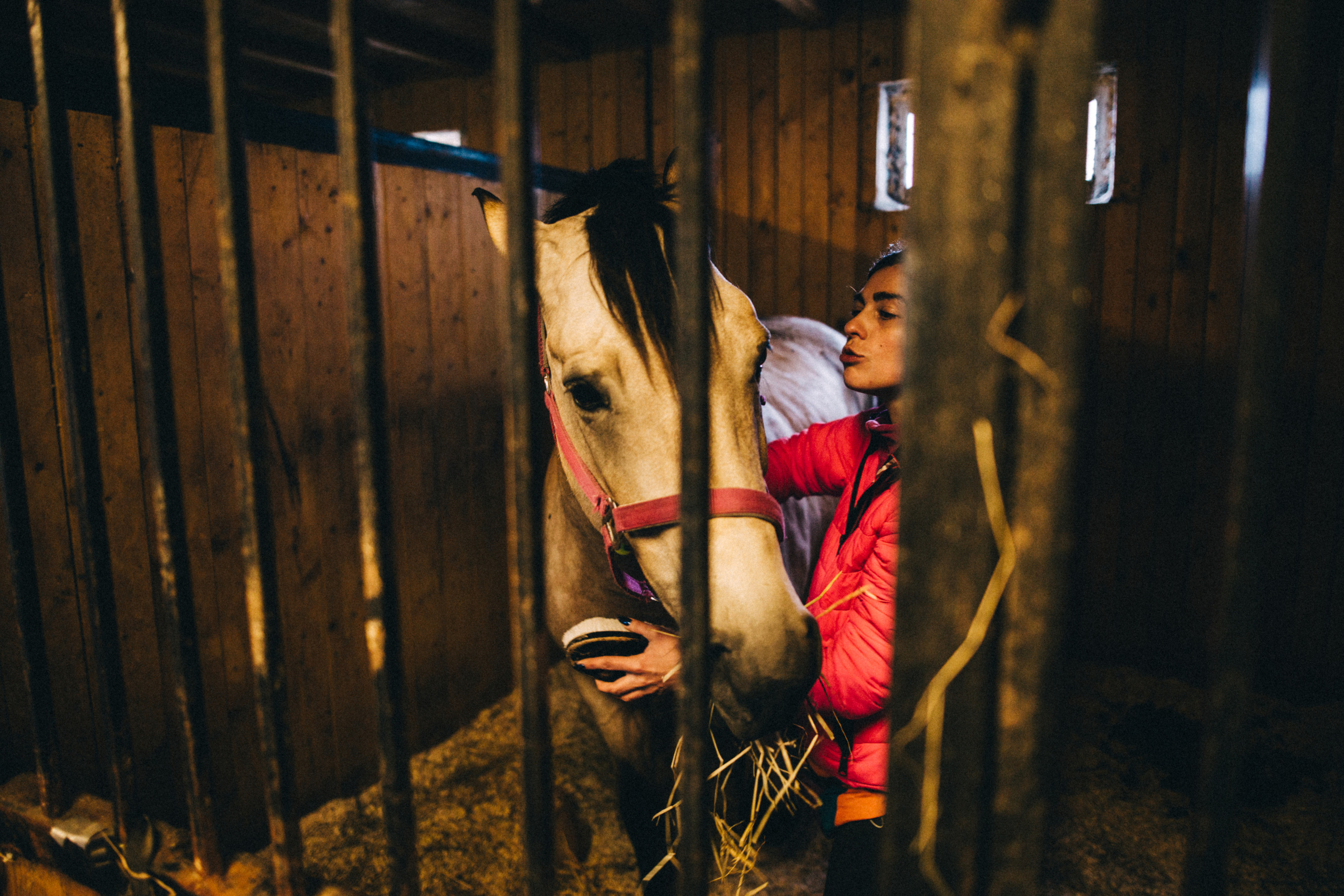 Про любовь, веселье, капризы и сон в повозке…. Семейный фотограф, фотограф родов, репортажей фотограф в Санкт-Петербу
