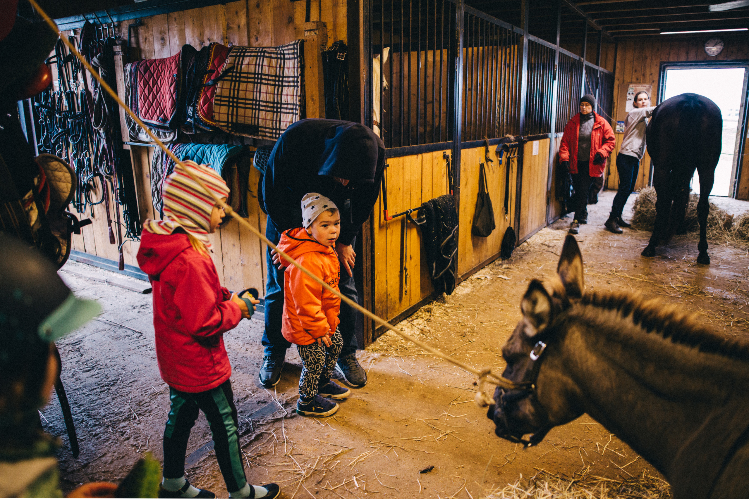 Про любовь, веселье, капризы и сон в повозке…. Семейный фотограф, фотограф родов, репортажей фотограф в Санкт-Петербу