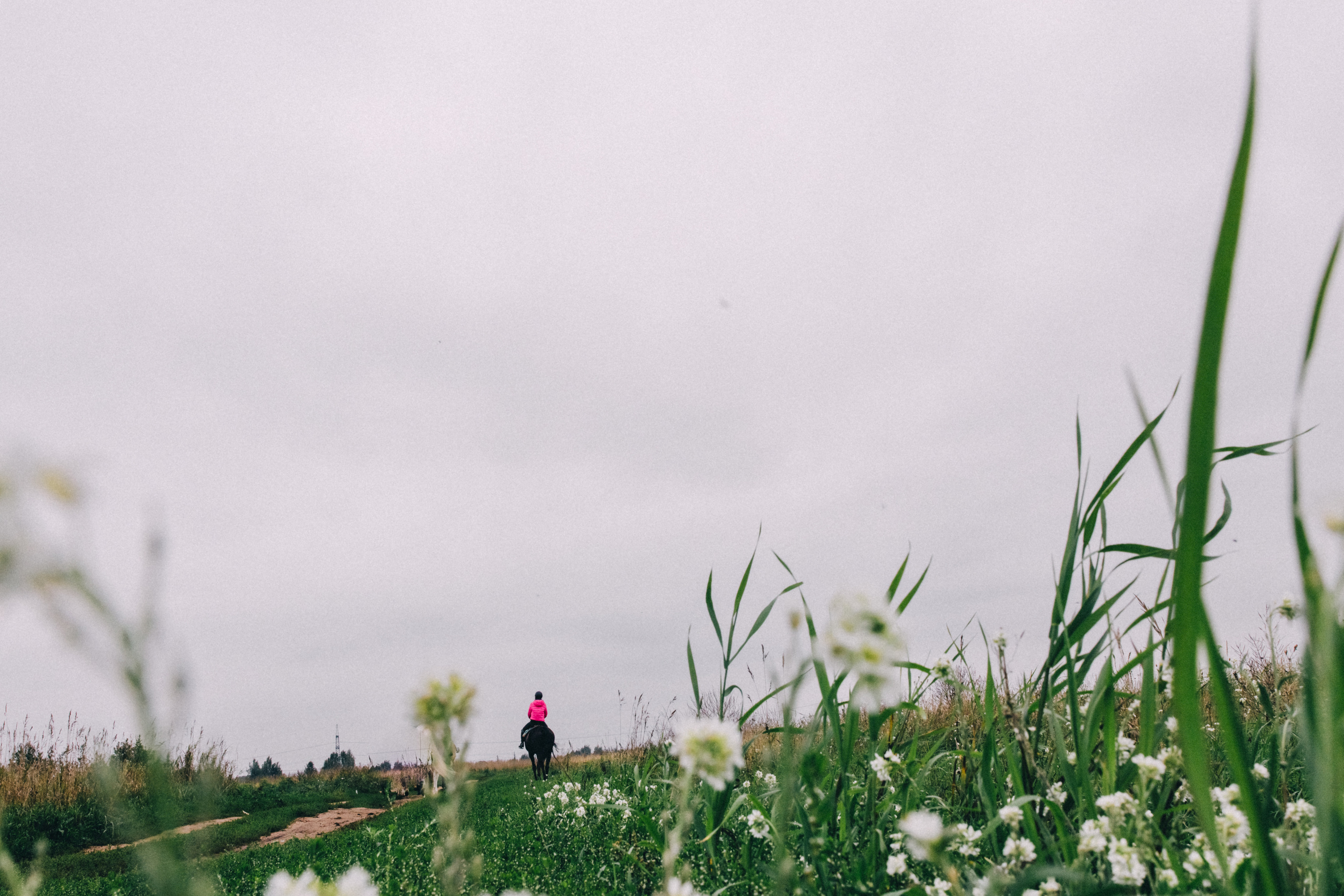 Про любовь, веселье, капризы и сон в повозке…. Семейный фотограф, фотограф родов, репортажей фотограф в Санкт-Петербу