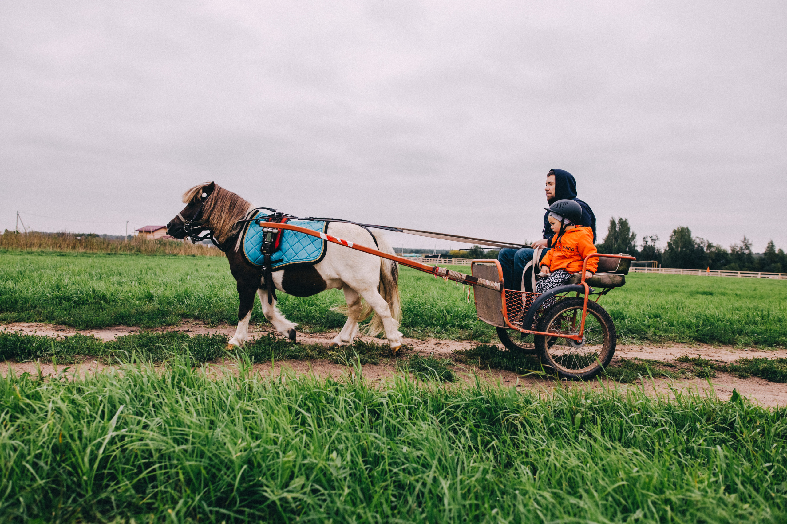 Про любовь, веселье, капризы и сон в повозке…. Семейный фотограф, фотограф родов, репортажей фотограф в Санкт-Петербу