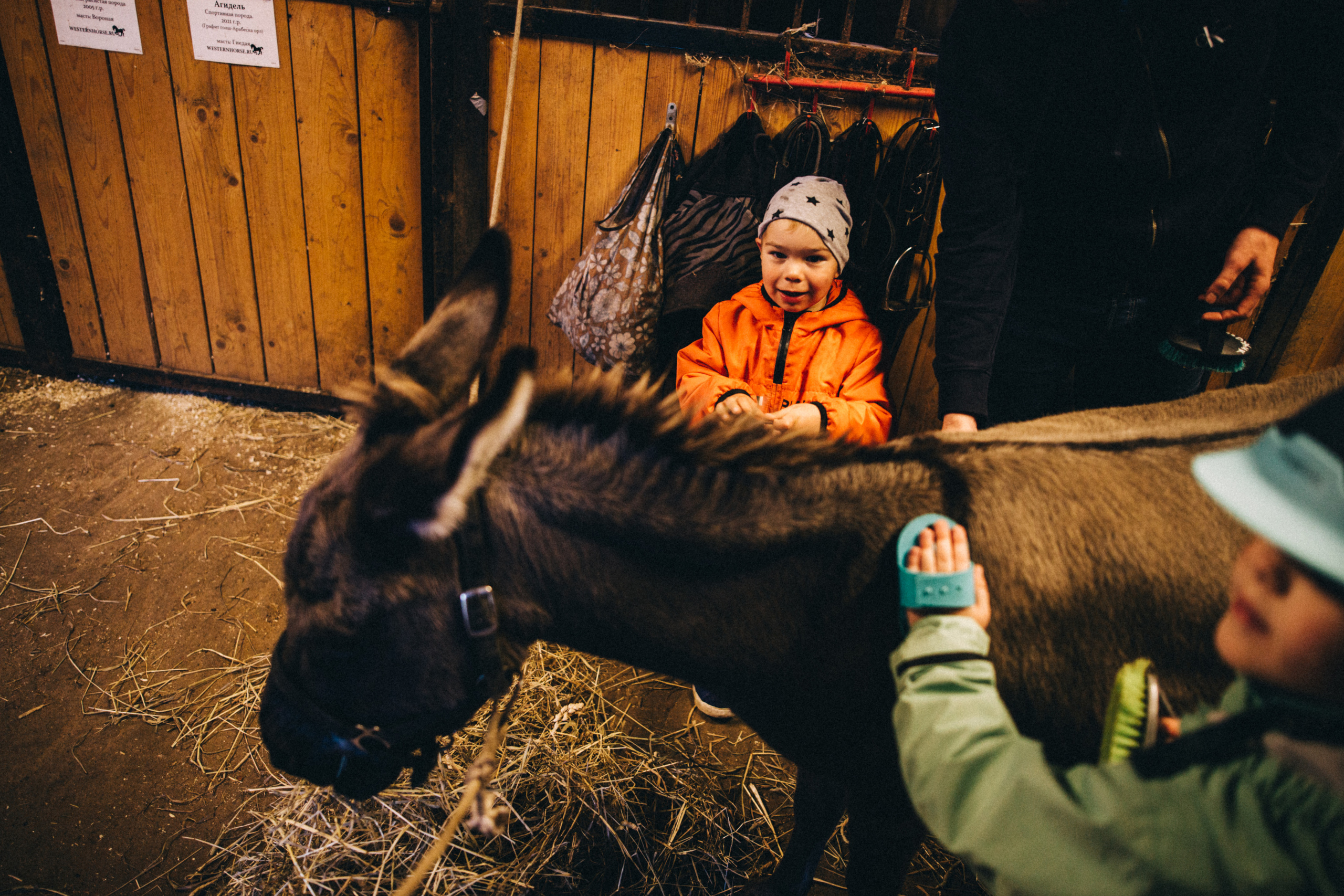 Про любовь, веселье, капризы и сон в повозке…. Семейный фотограф, фотограф родов, репортажей фотограф в Санкт-Петербу