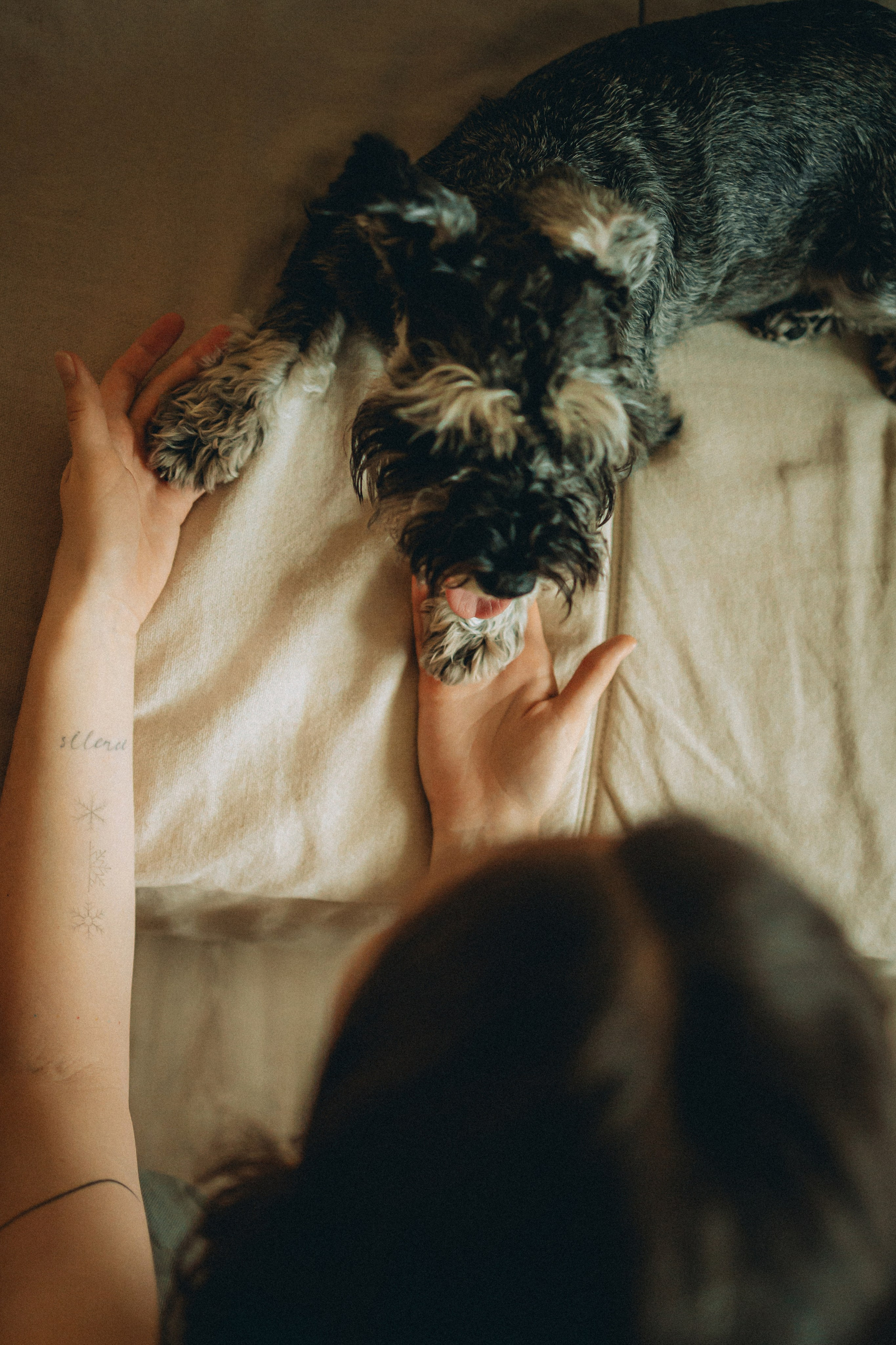 Лена и Зефир