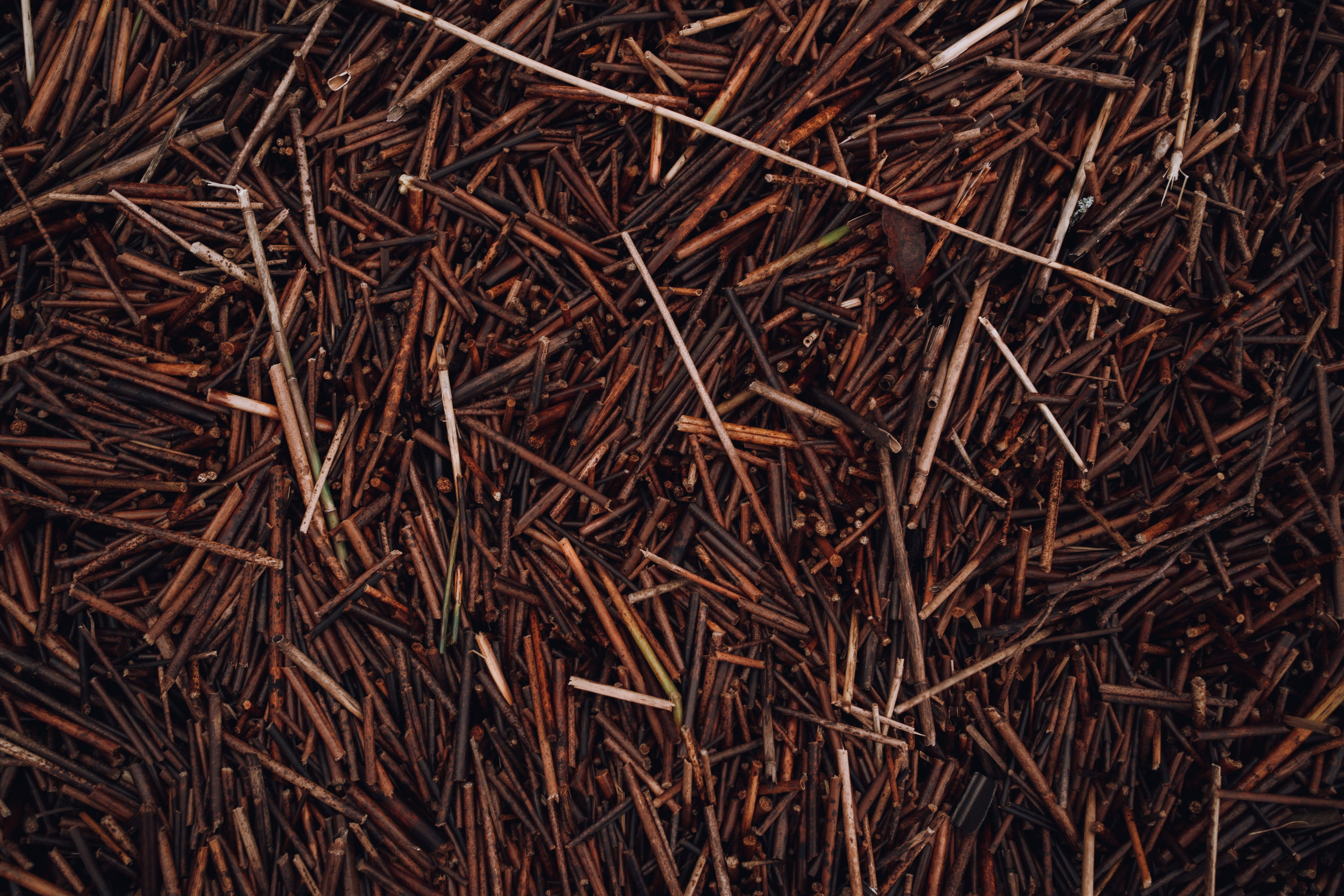 Бекстейдж «‎Бенуа»