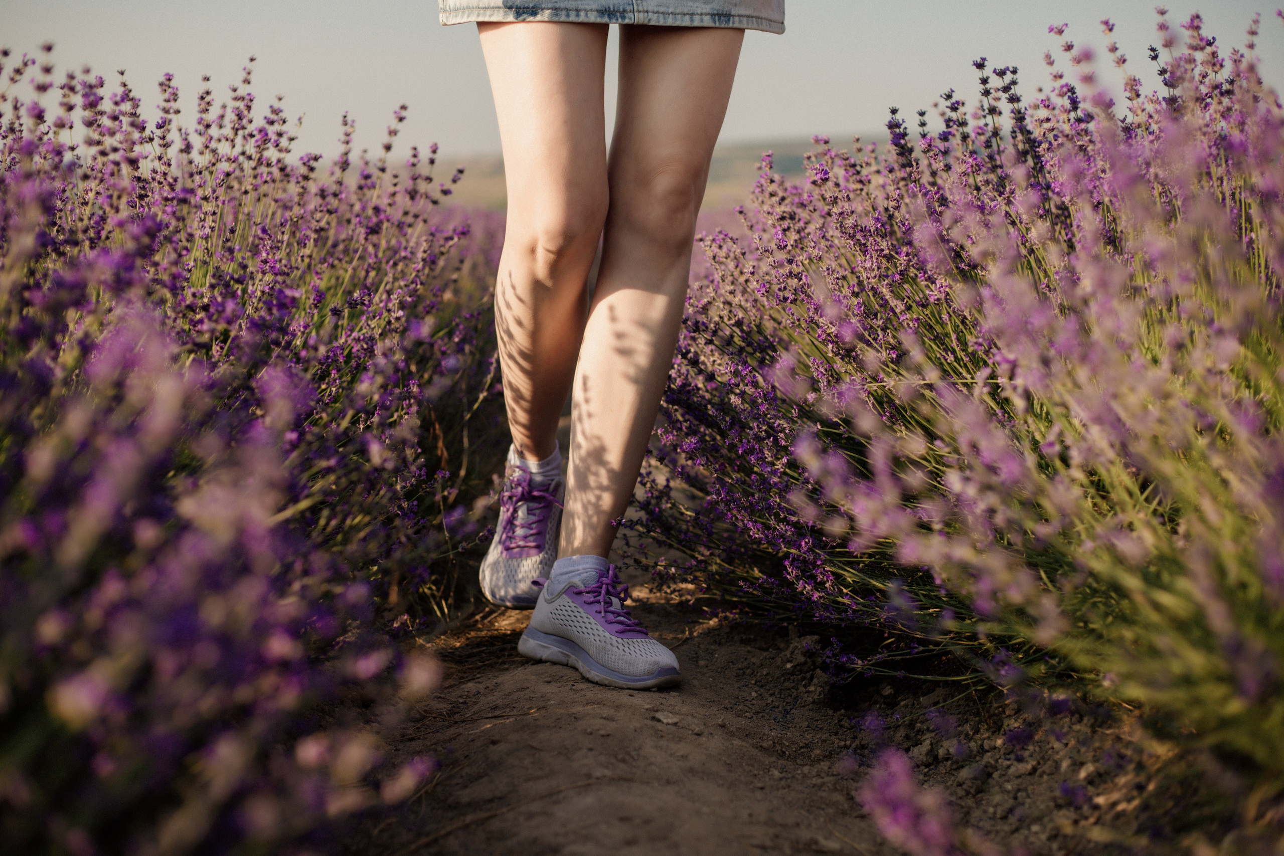 Лаванда. Фотограф и Видеограф Севастополь Крым