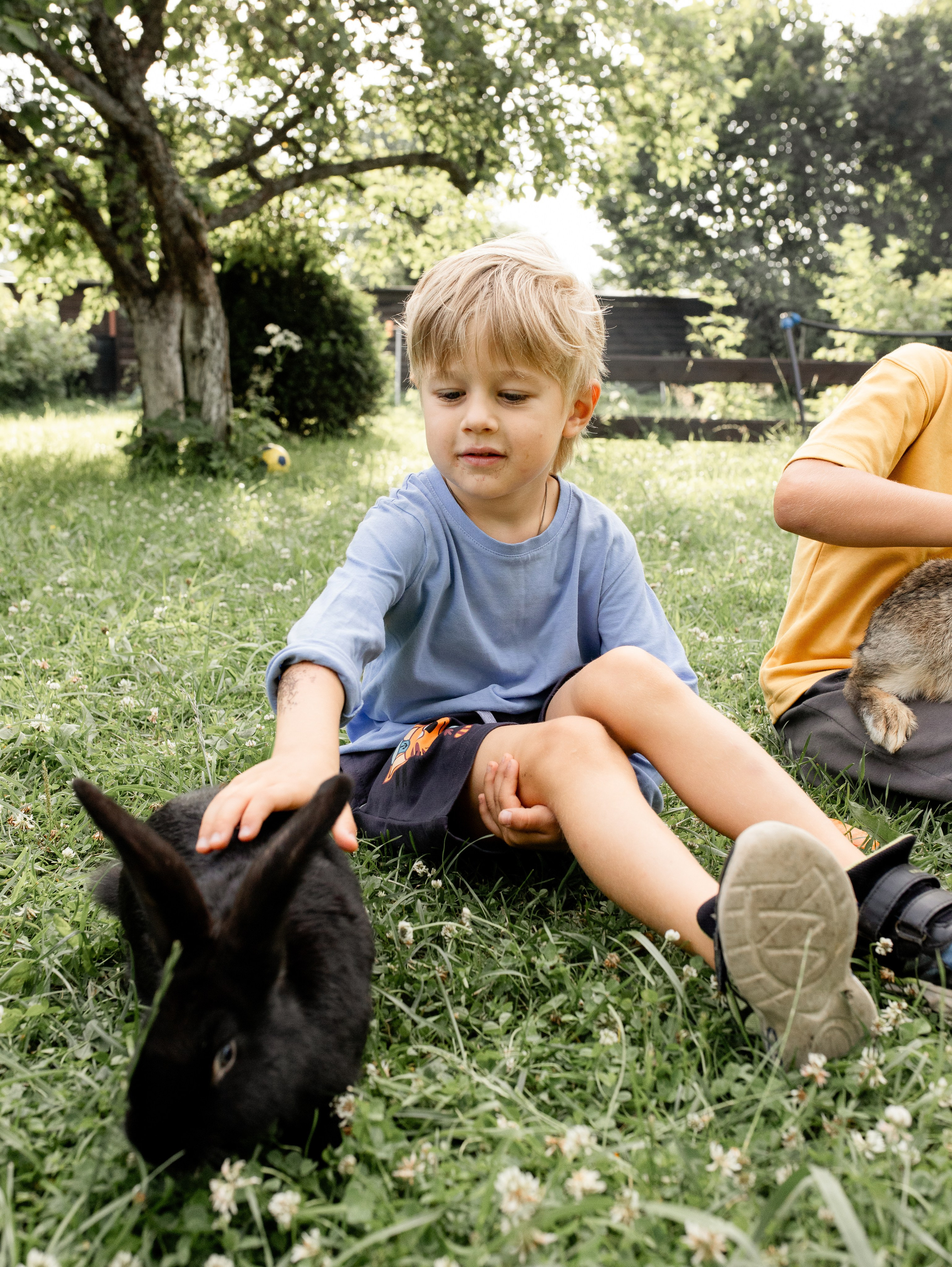 Кролики 2023. Семейный фотограф в Санкт-Петербурге Ирина Иванова